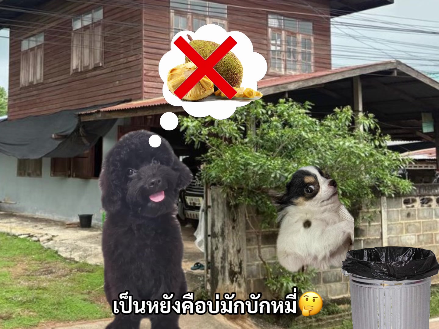 @อิงค์ชอบสีชมพู