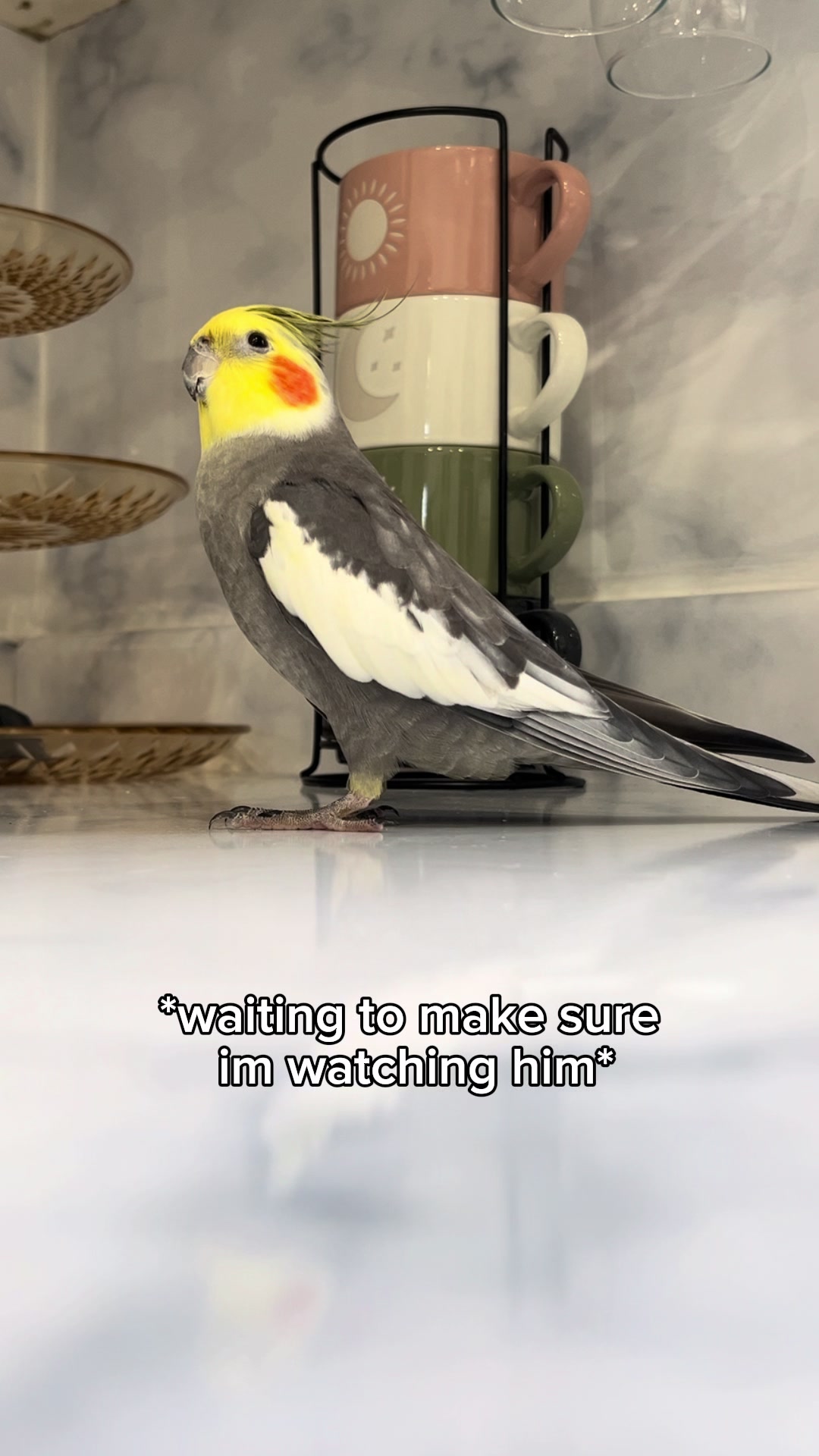 @Emery The Branch Manager