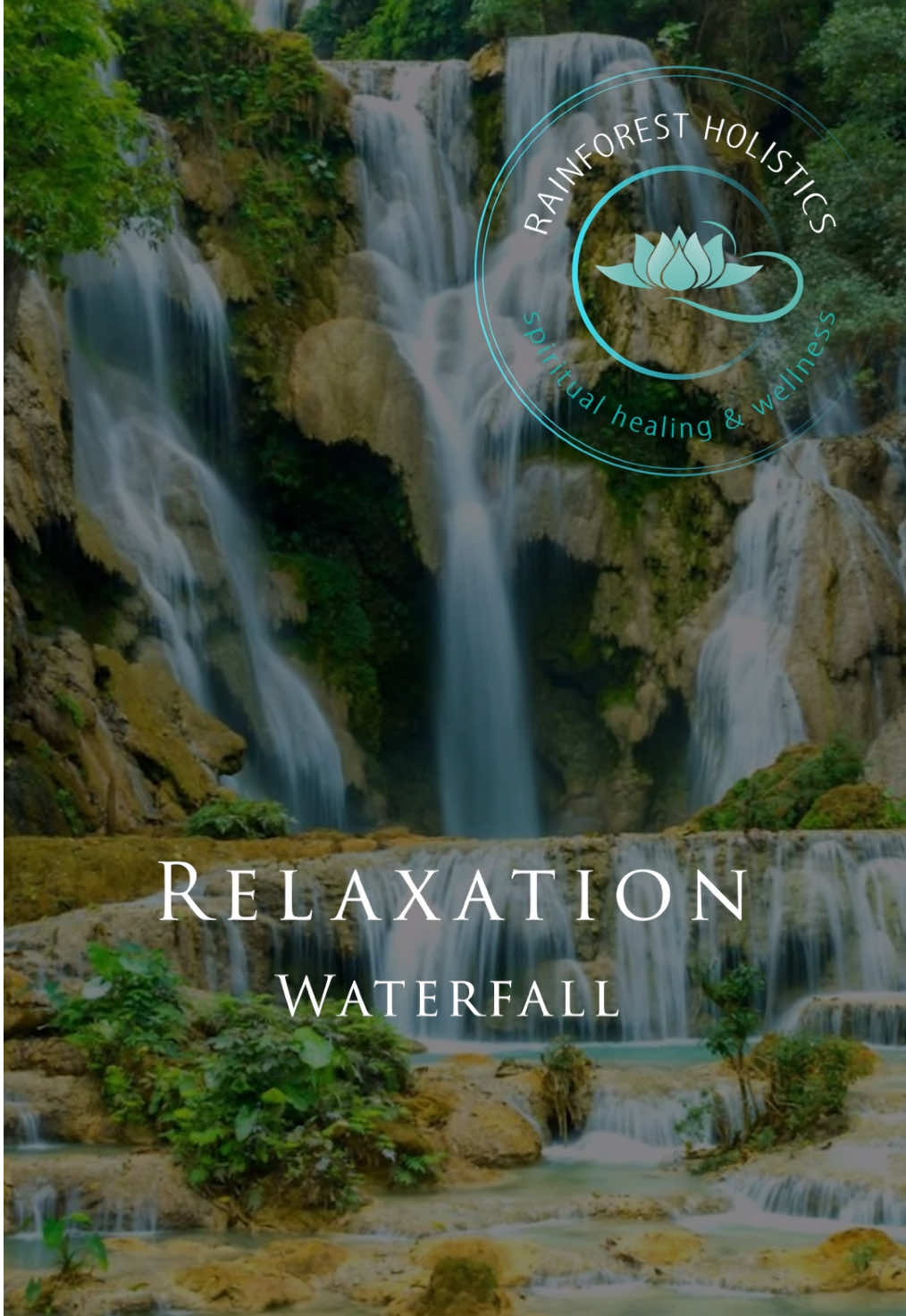 @Rainforest Holistics
