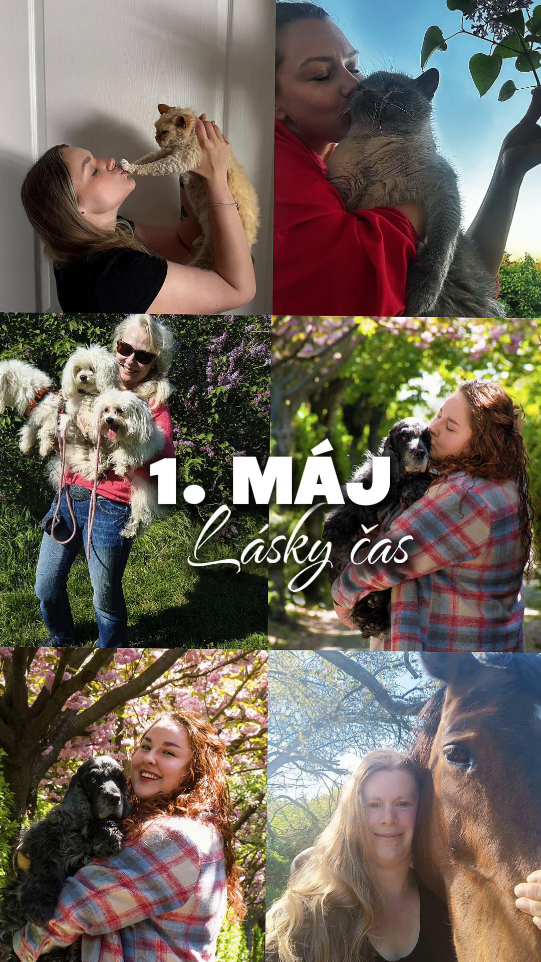 @Náš veterinář