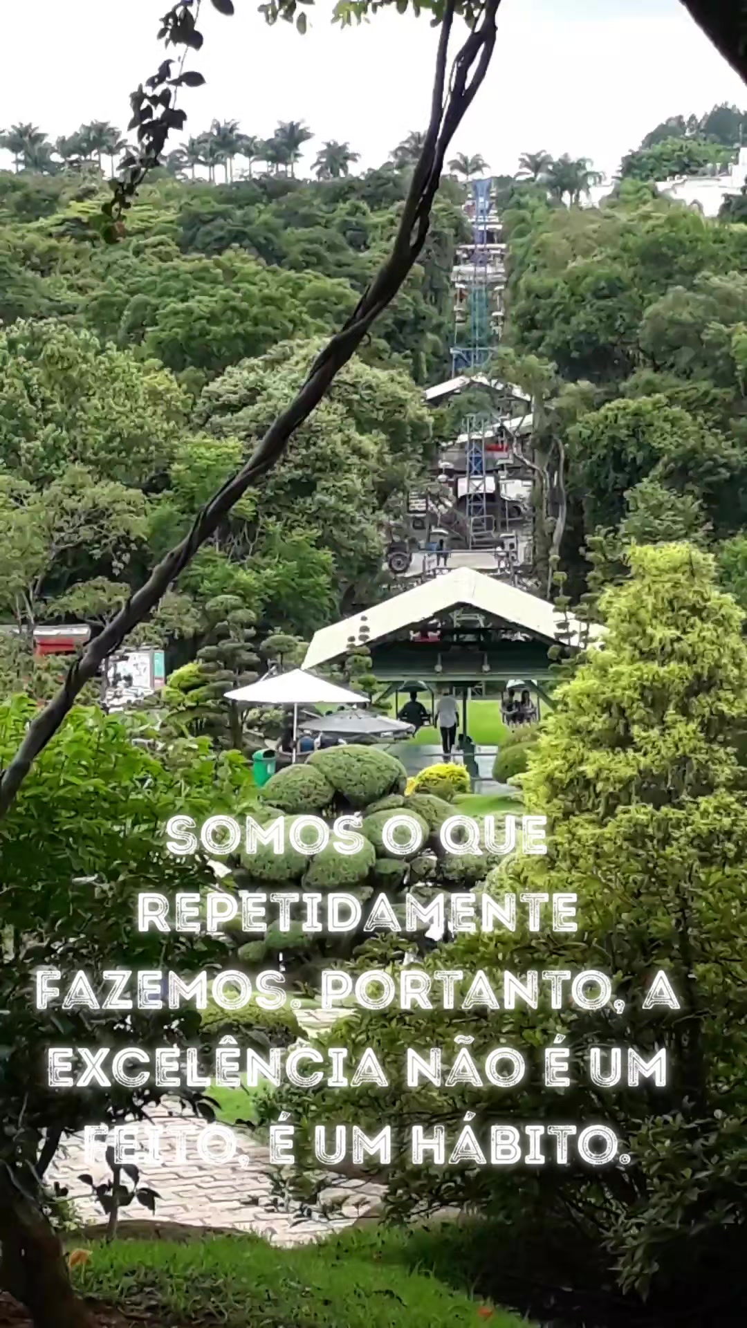 @Roberto