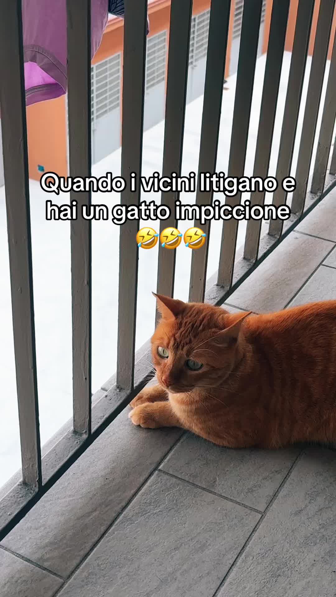 @•Samantha•🐾