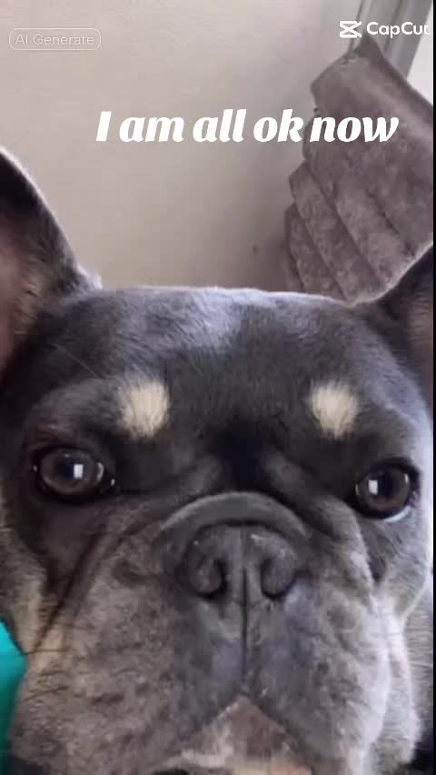 @Tina