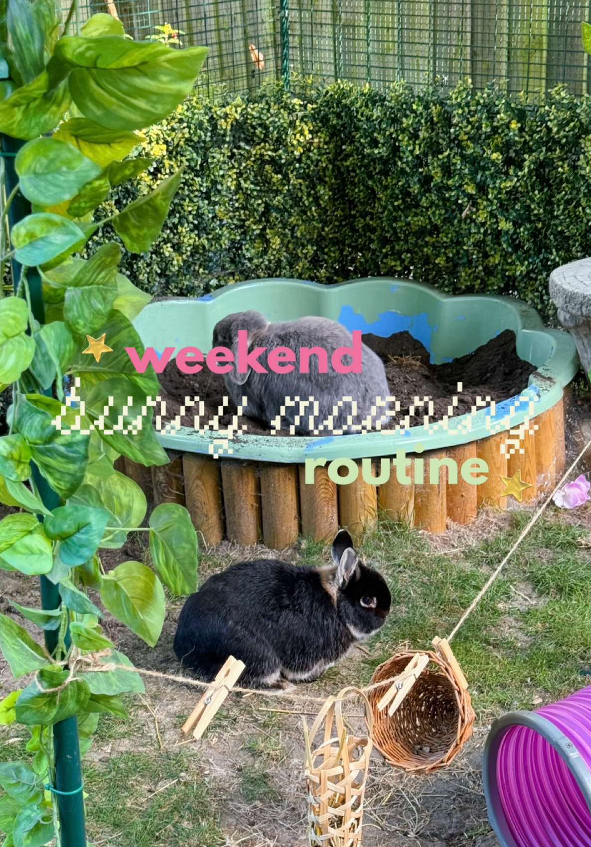 @Sophie & Co.
