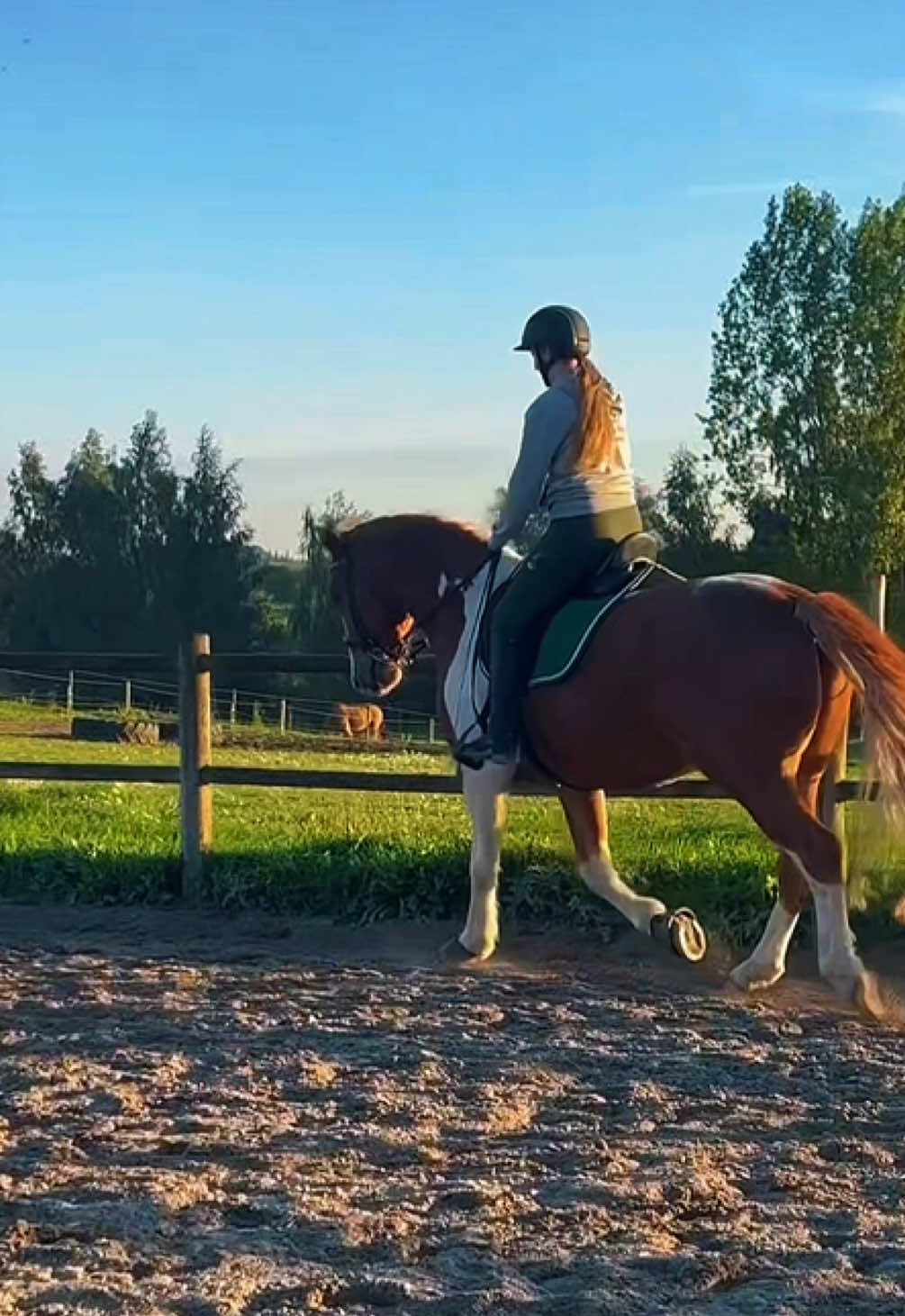 @TeamFreeSpirit