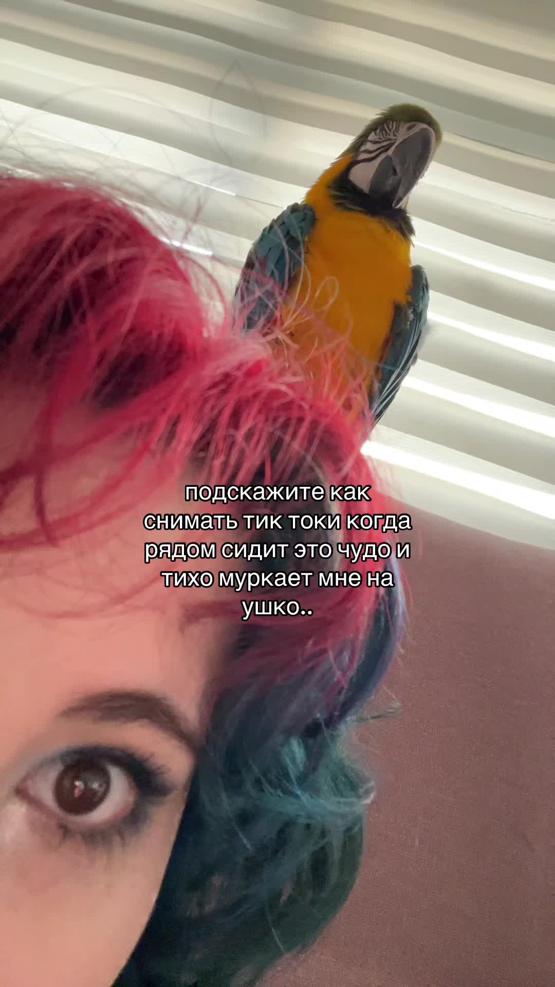 @-†‡γϲταɞωμύ δσӷ‡†