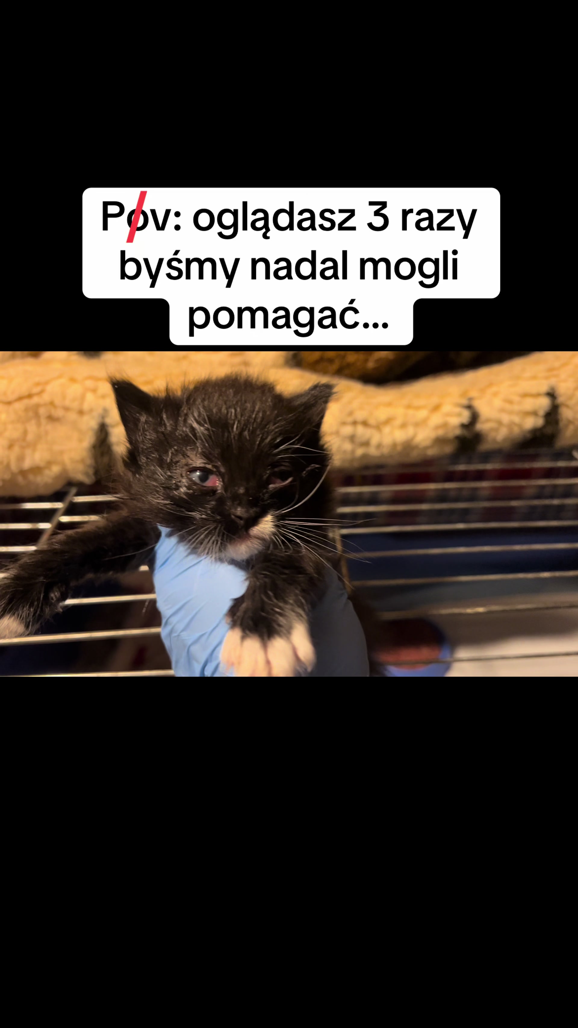 @Ratujemy