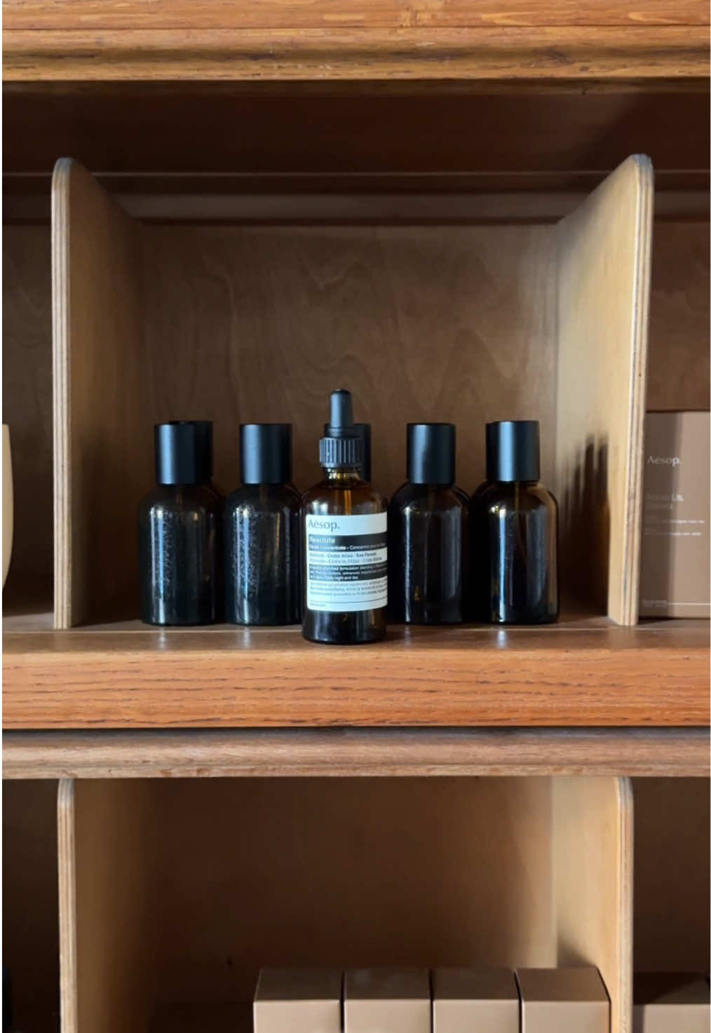 @Aesop