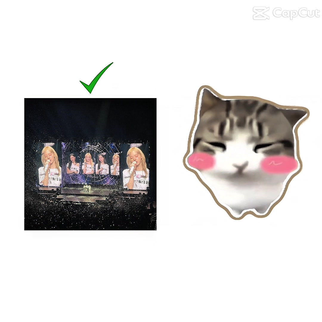 @Atanakumi / Pop/K-pop concerts