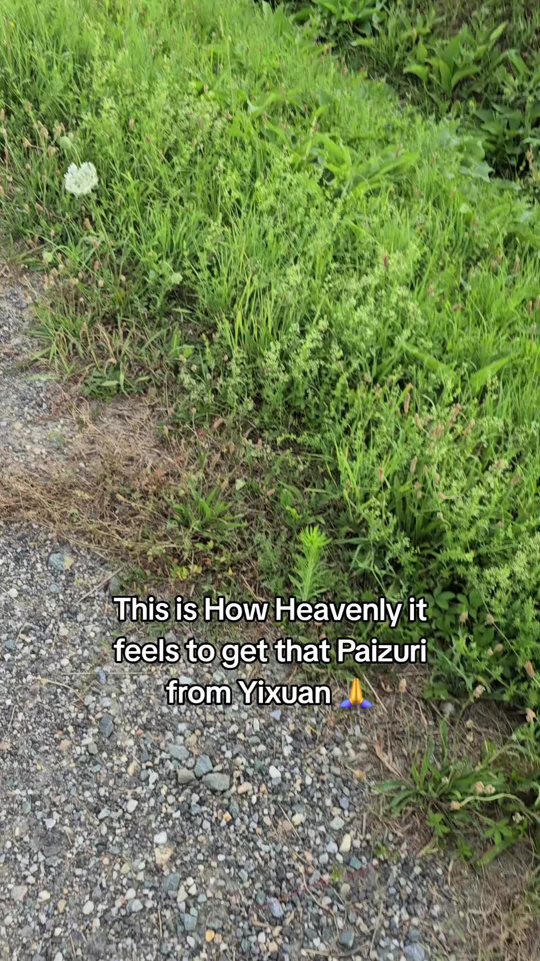 @Broke_Yixuan Lover