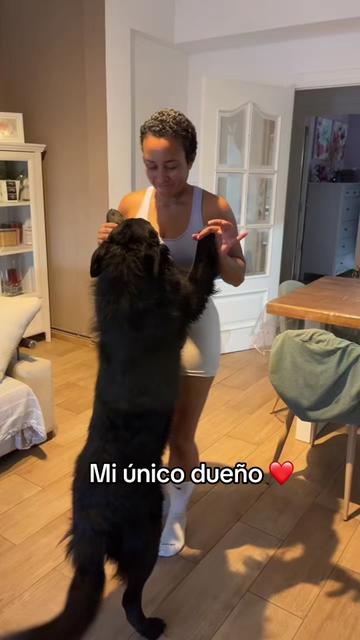 @Luiggi the Dog