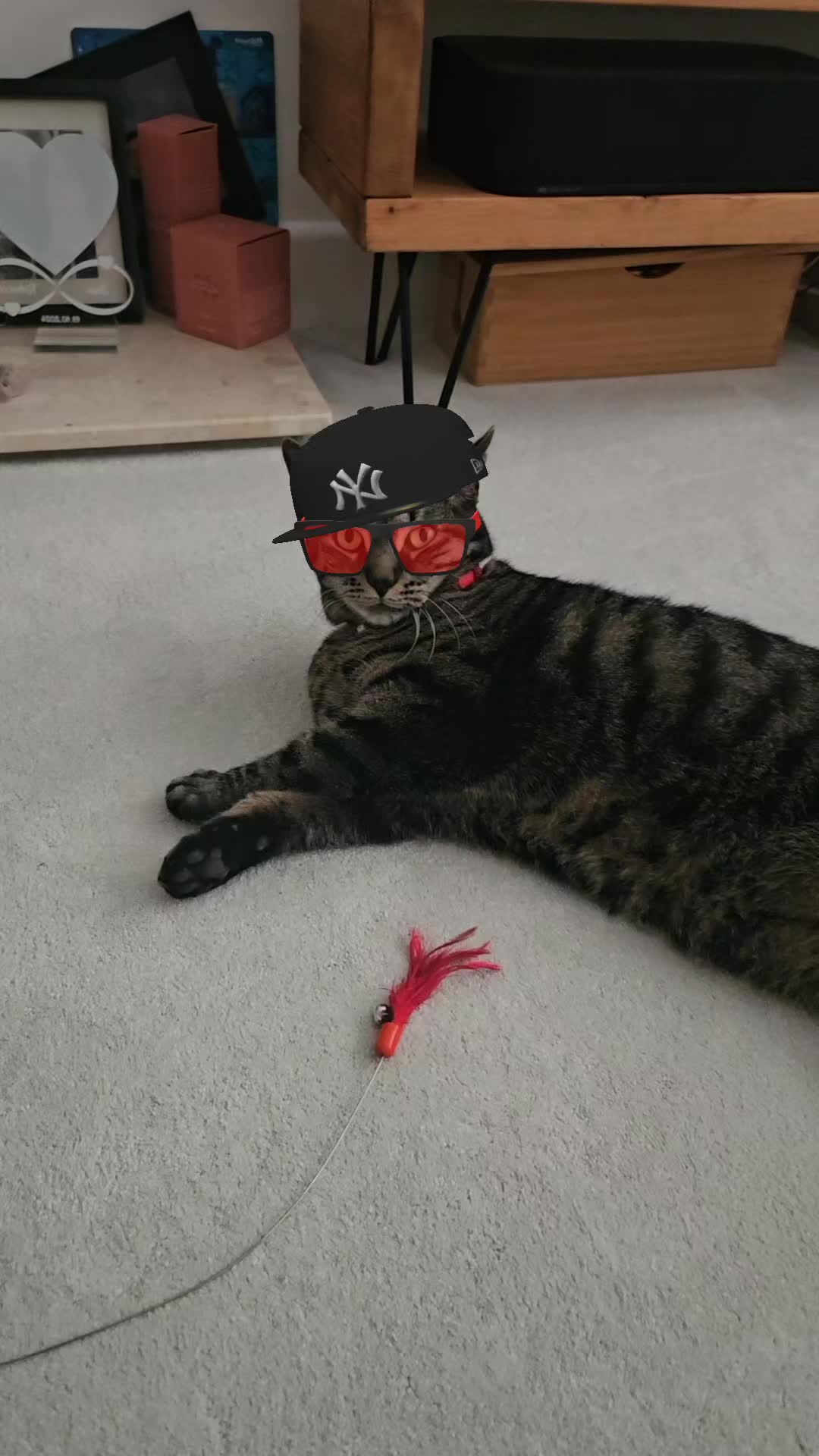 @CatmanScoop