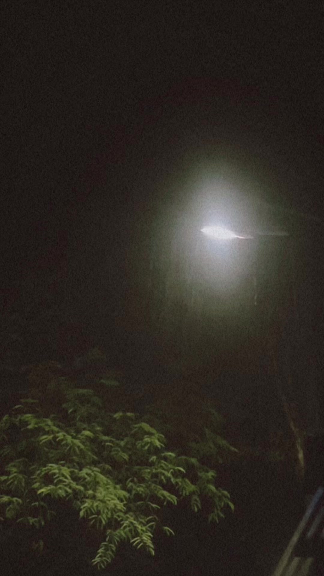 @Je&ntilde;o Aberde Laguna