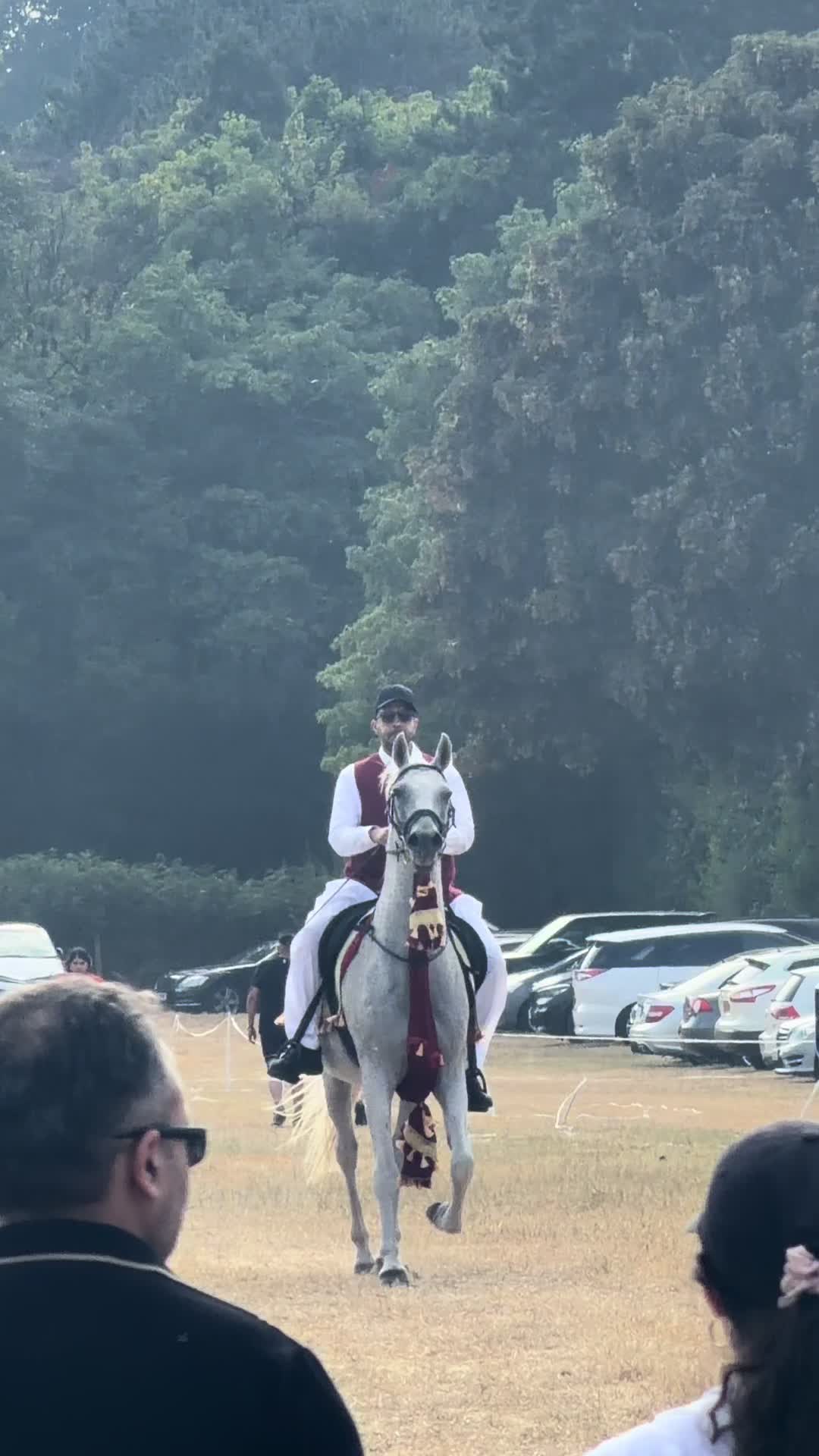 @Slough horses