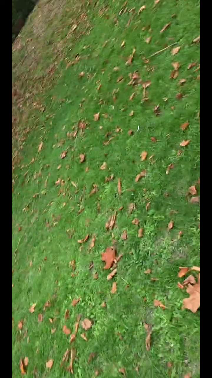 @littlejames