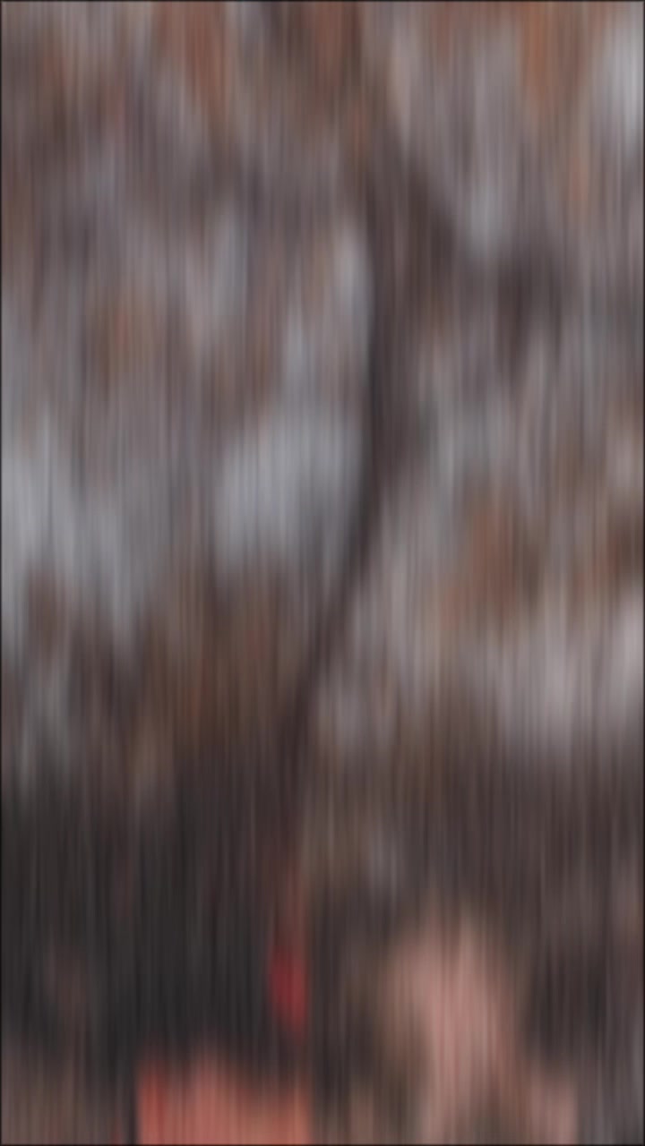@Drama official