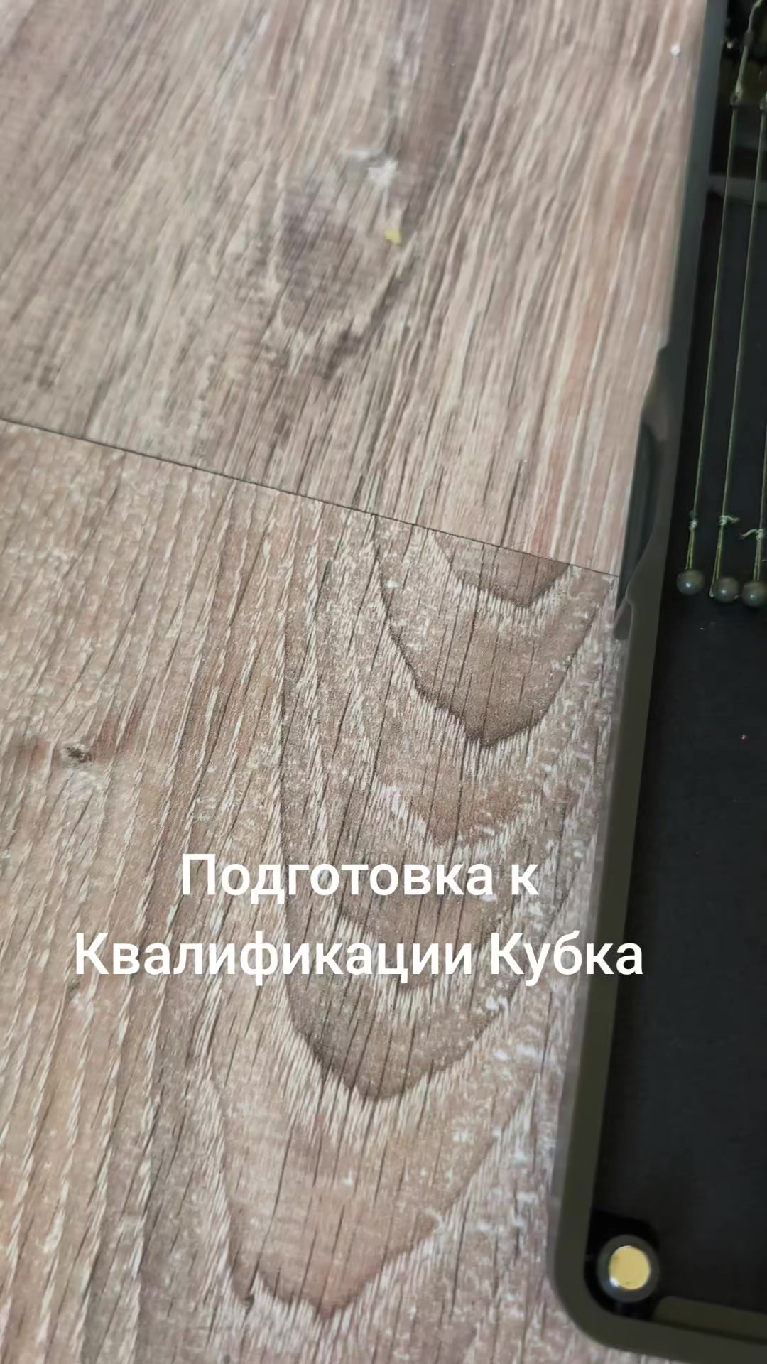 @yuricsolikcarp
