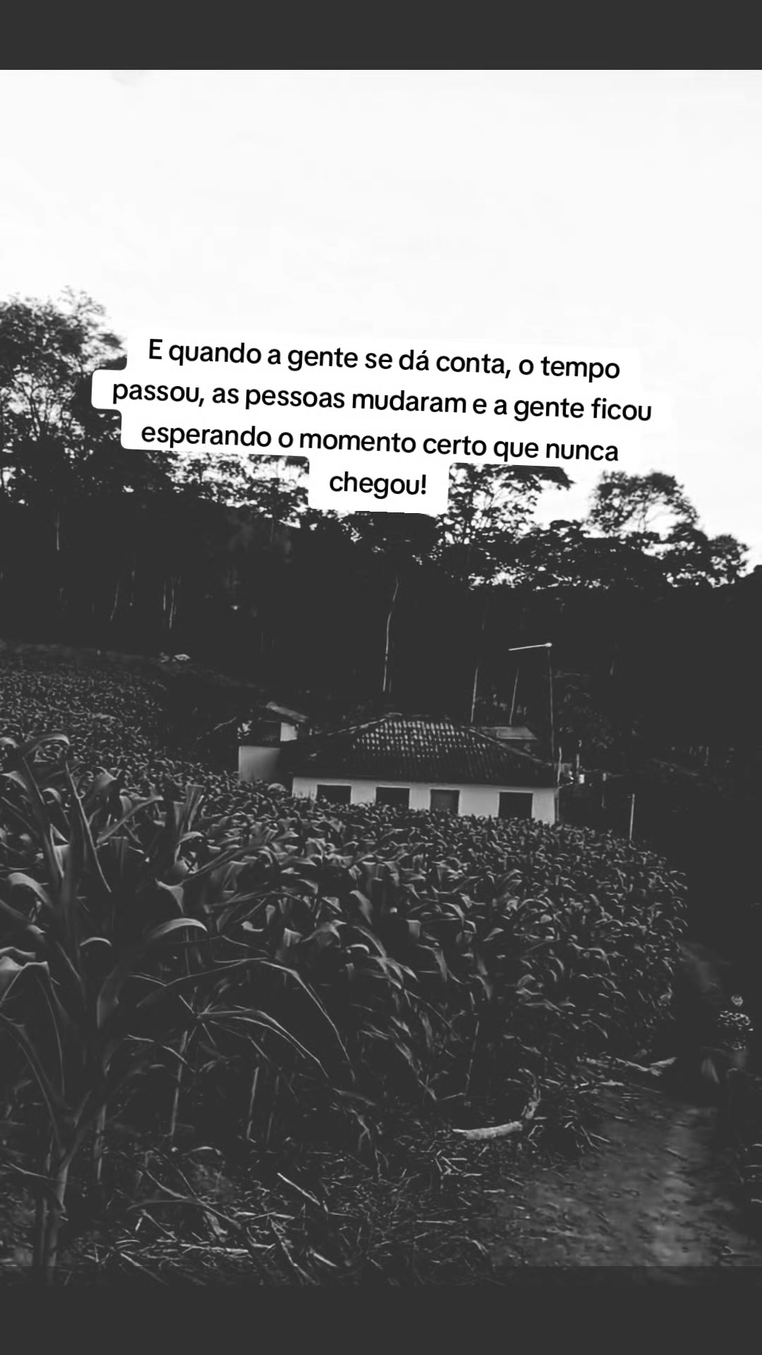 @Leandro Miranda