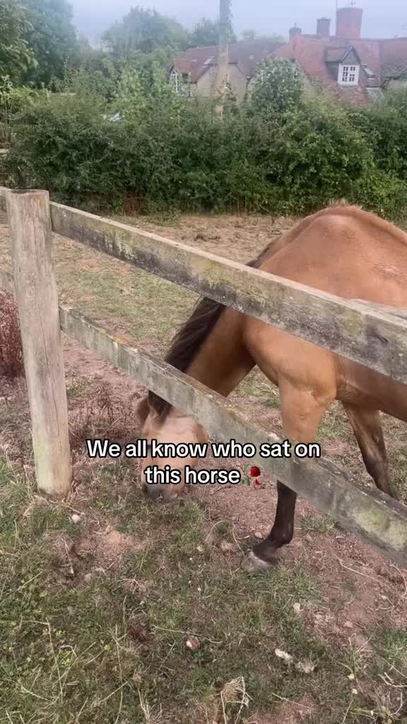 @footyedits674