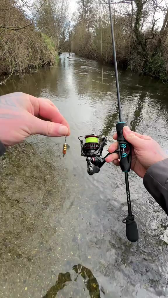 @fishmania