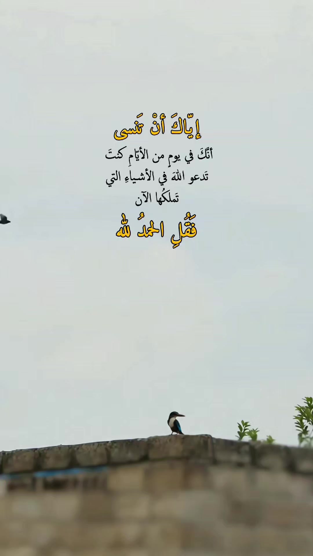 @حيدر الوائلي