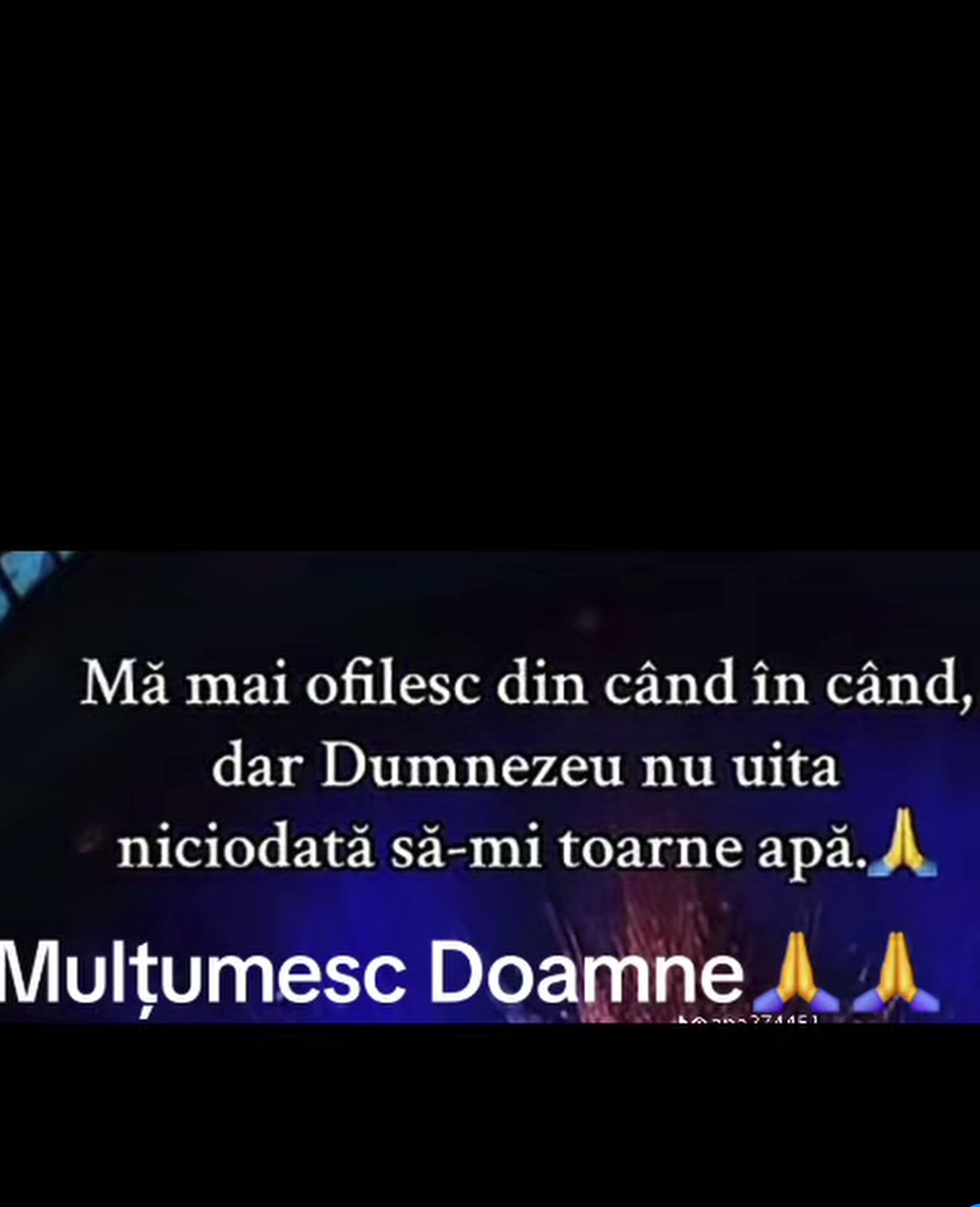 @FLORIN POP