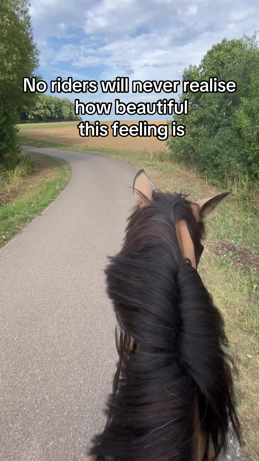 @Daily Pony‘s⚡️