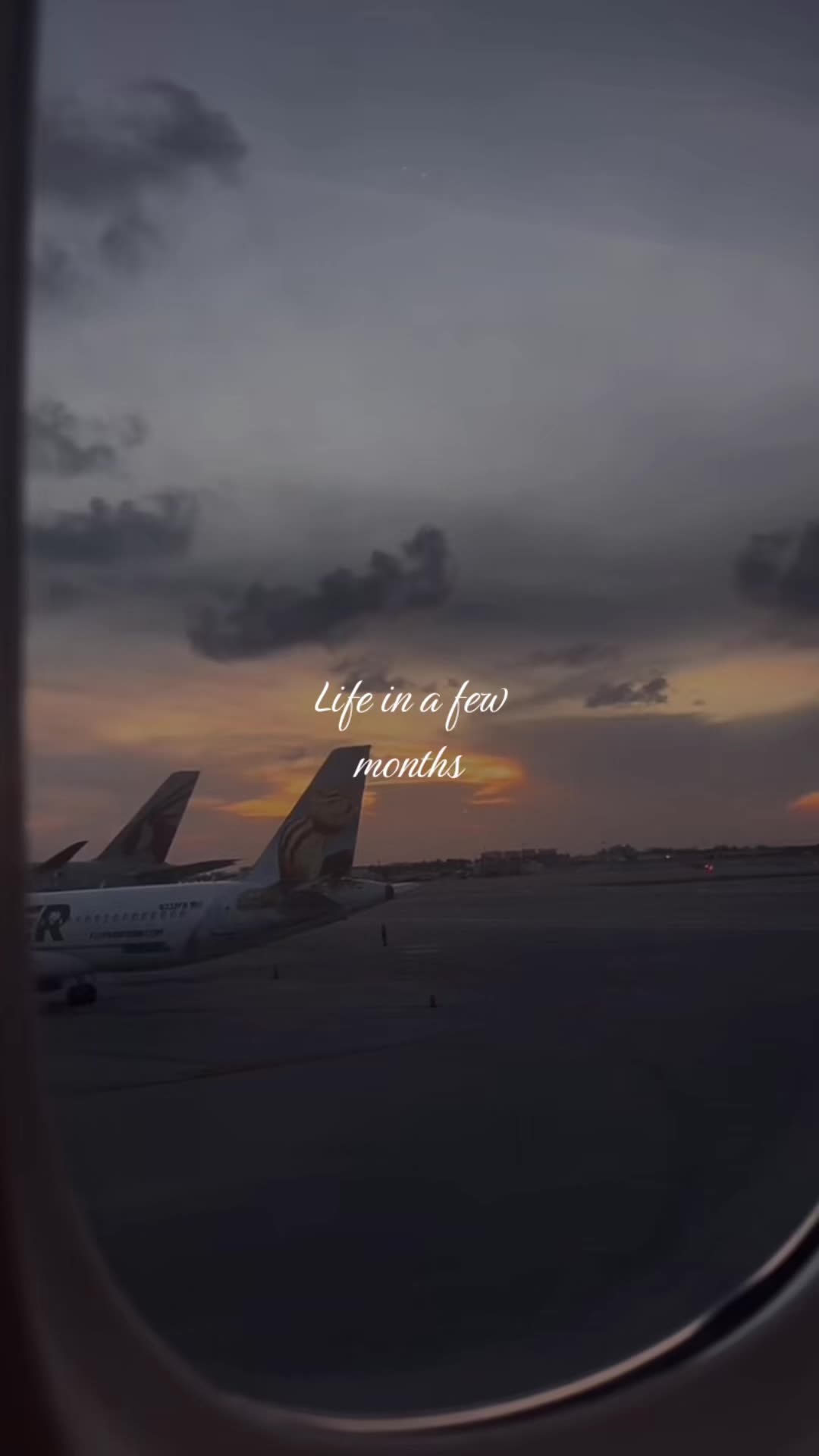 @Wen Junhui’s shiny butt plugs