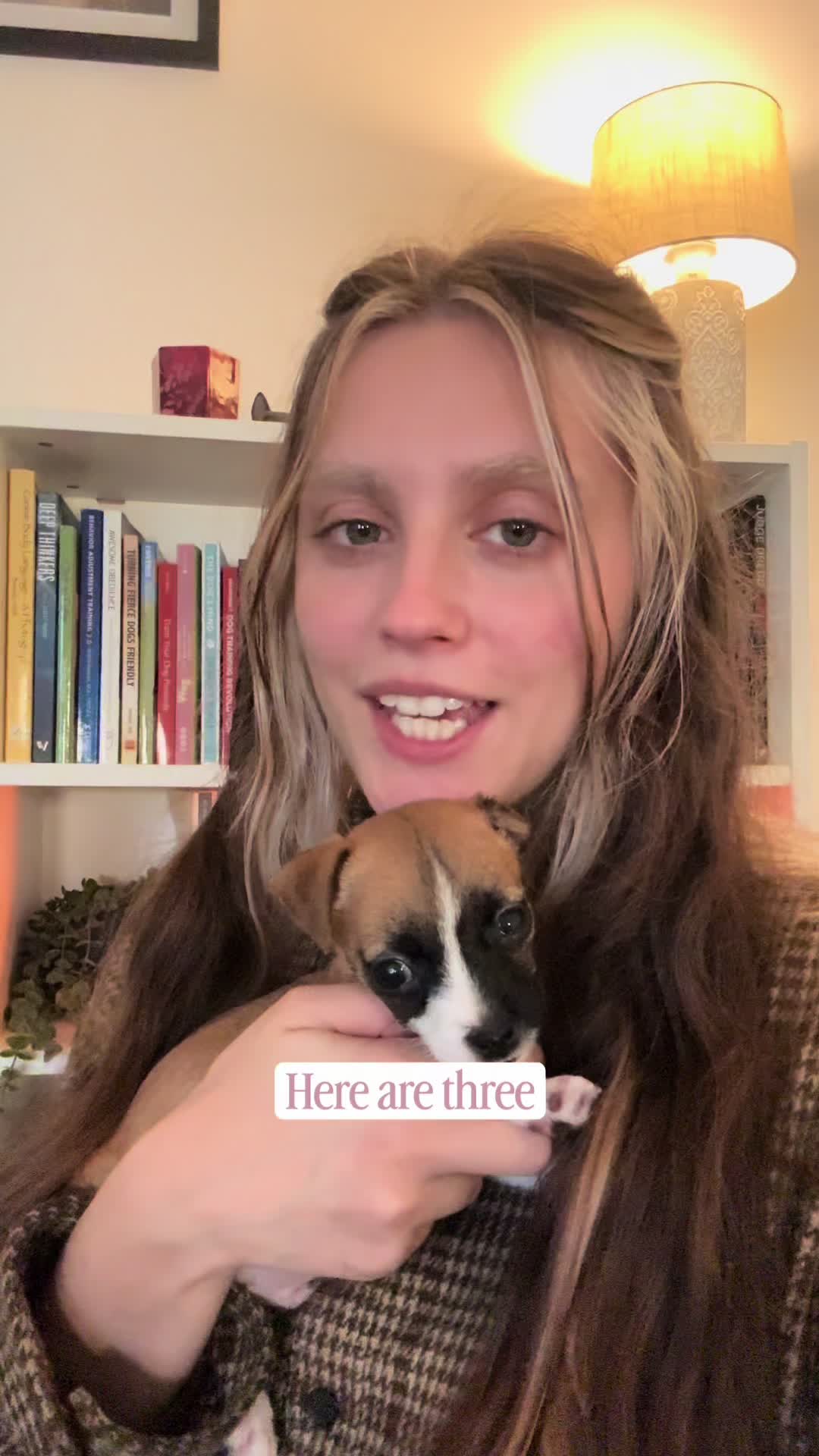 @Amelia the Dog Trainer