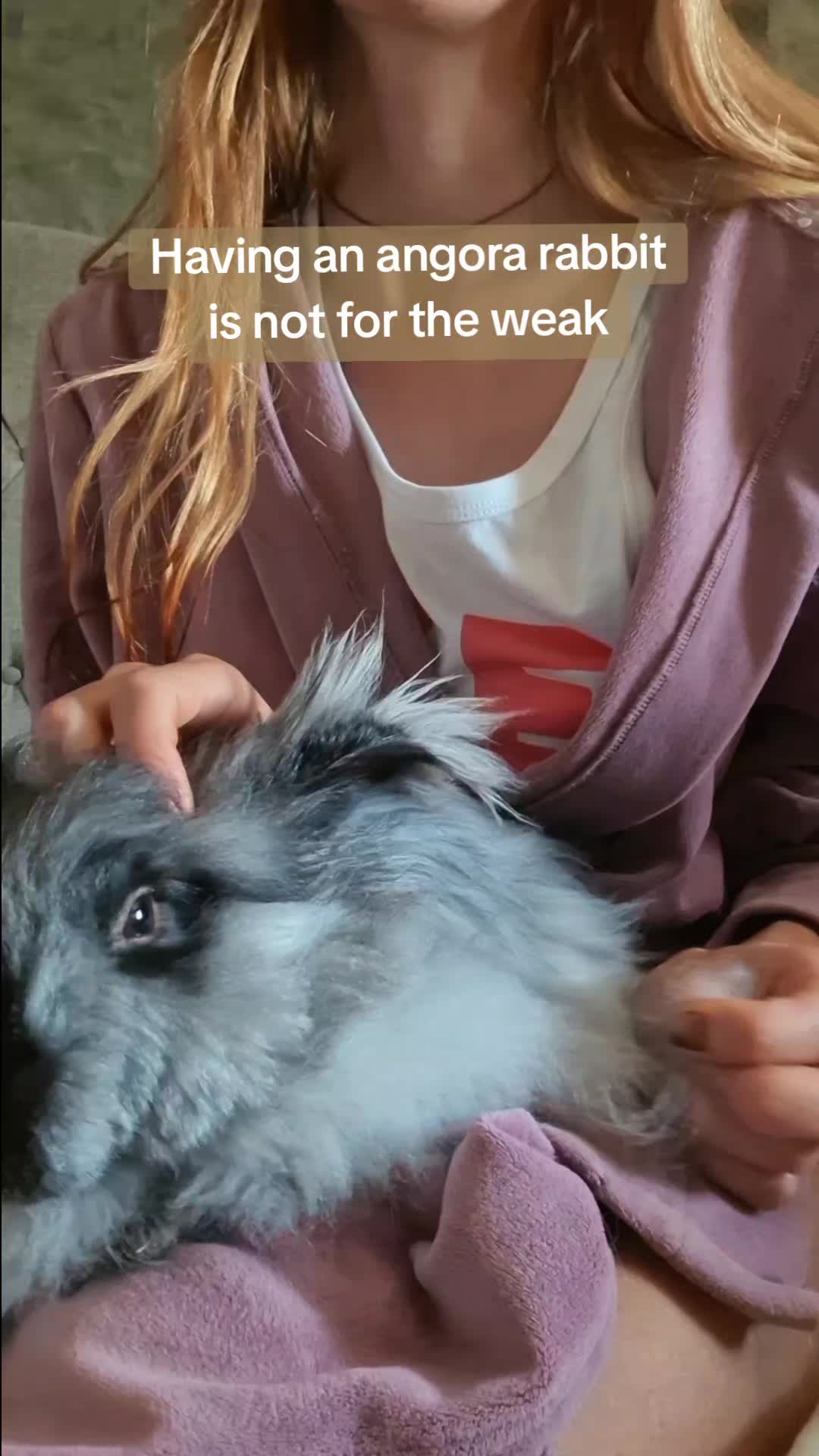 @JiffyPancake