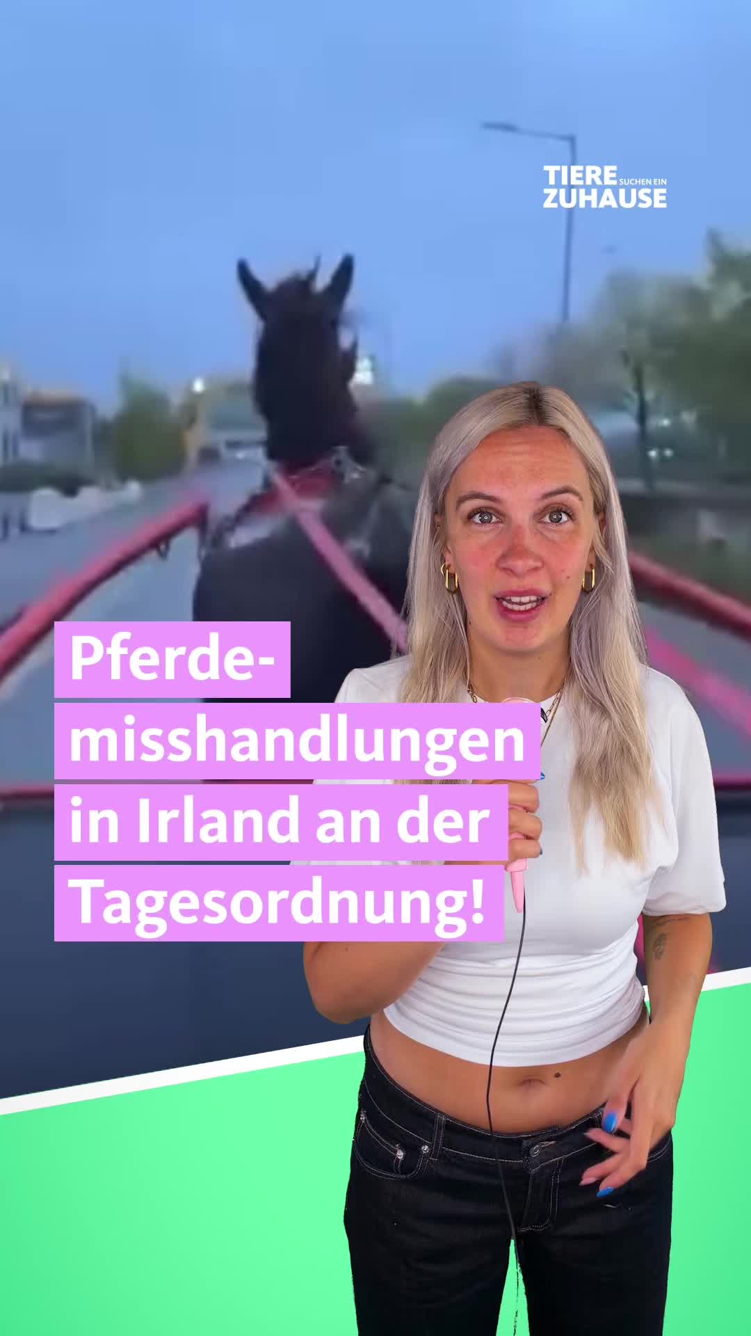 @Tiere suchen ein Zuhause