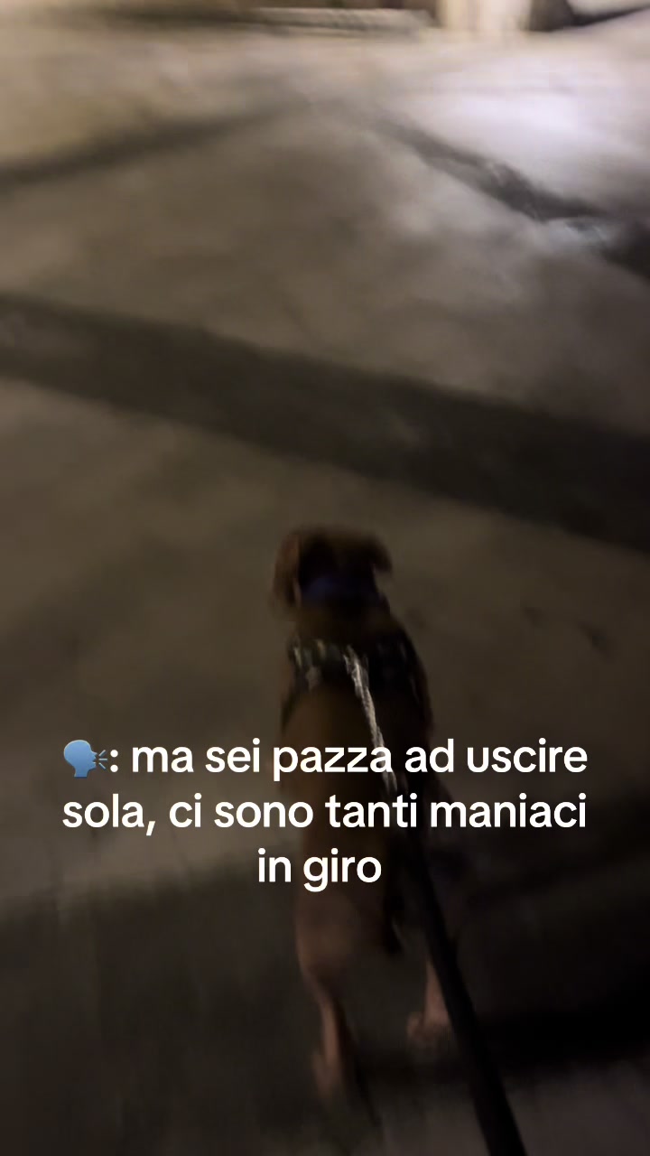 @F E D E R I C A๐