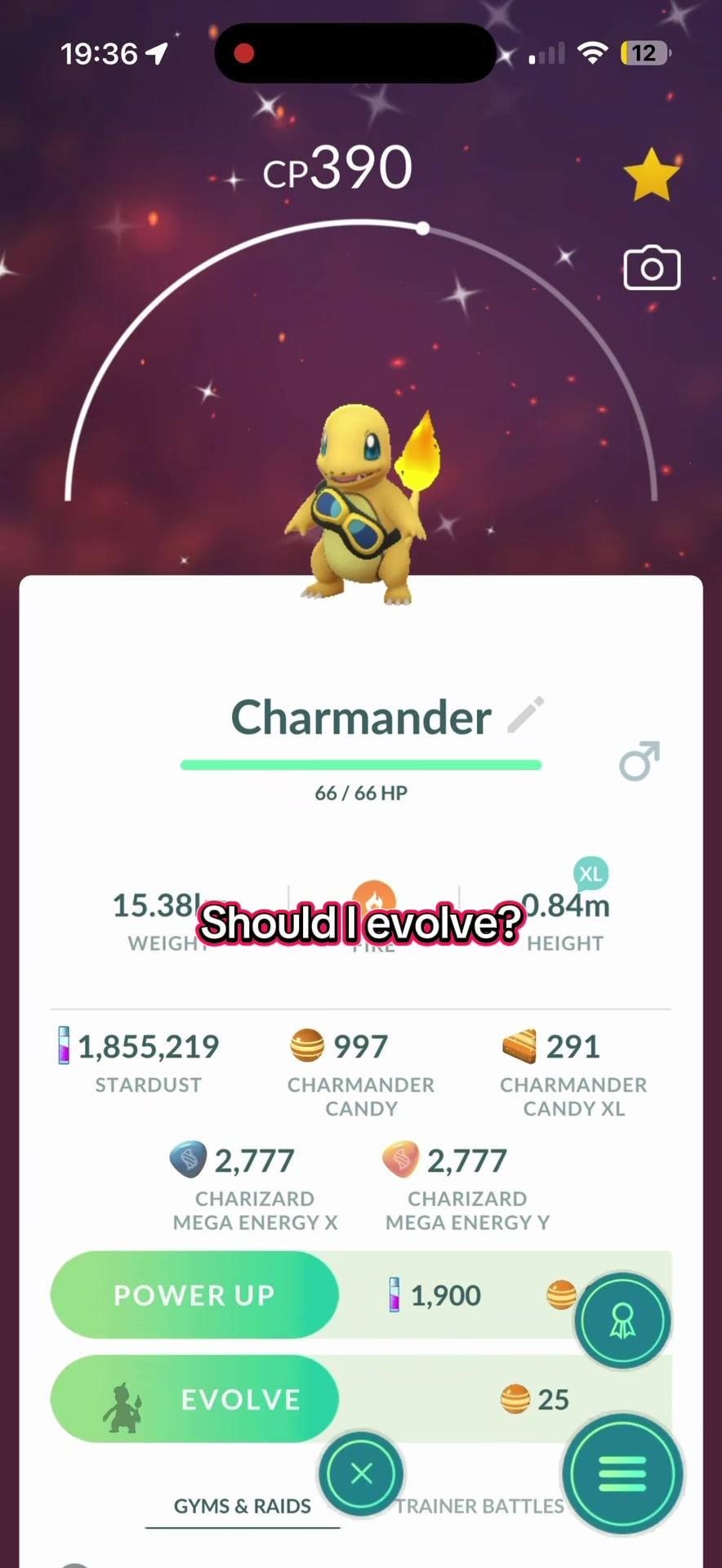 @PokéTee