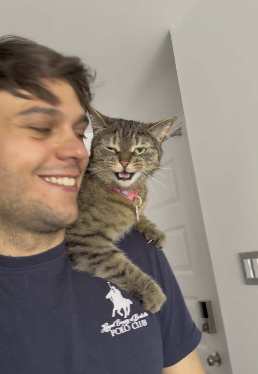 @Bellarda the cat