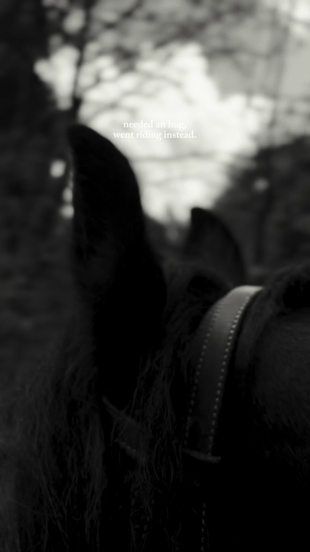 @🖤