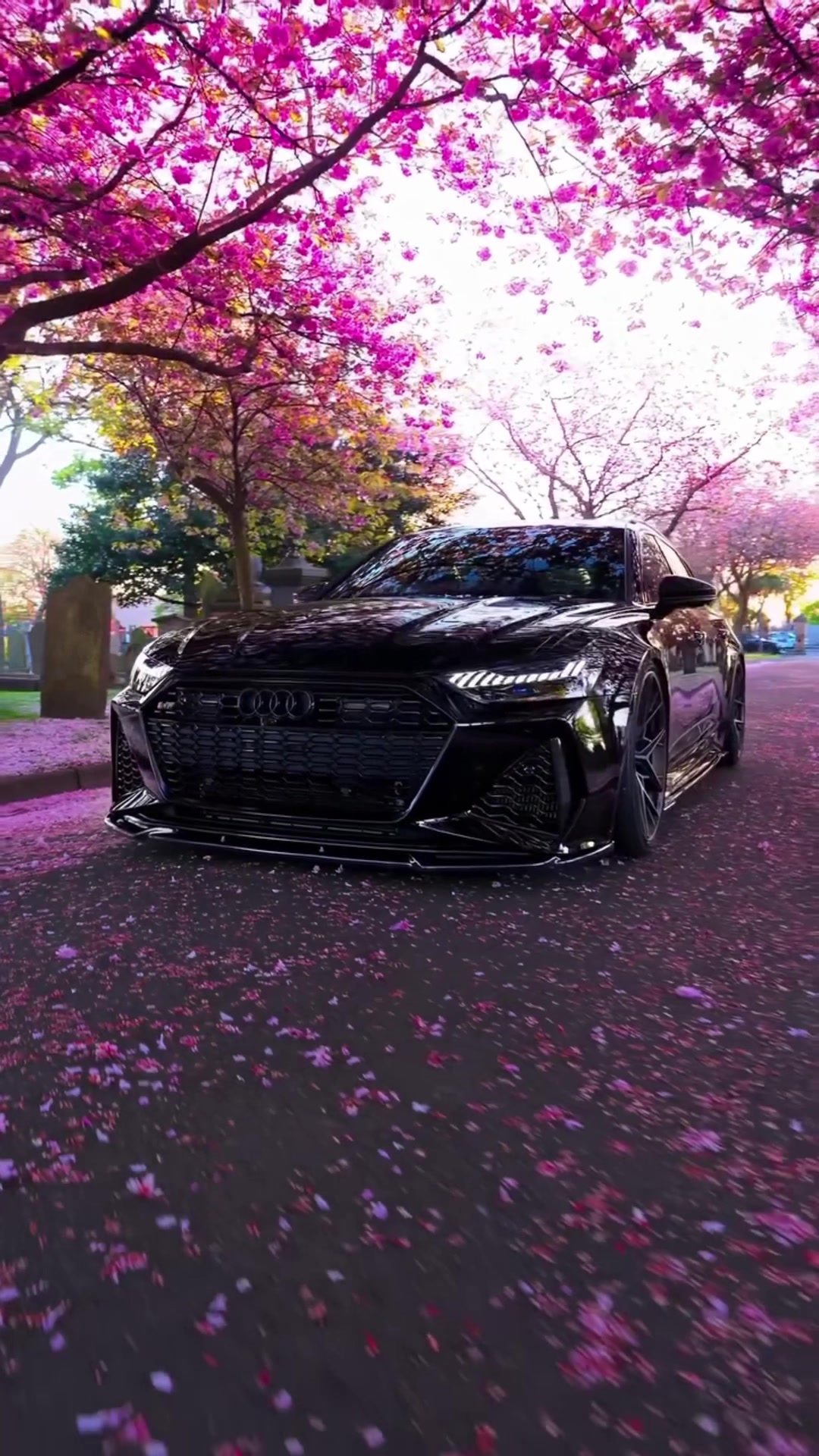 @𝐒 𝐔 𝐏 𝐄 𝐑 𝐂 𝐀 𝐑