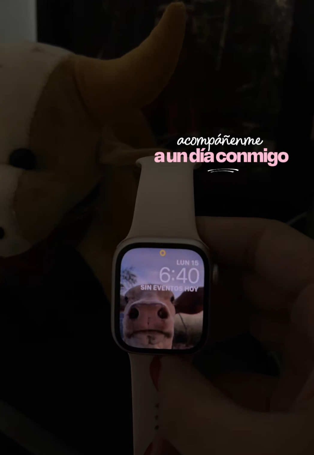 @anahi_garzaap