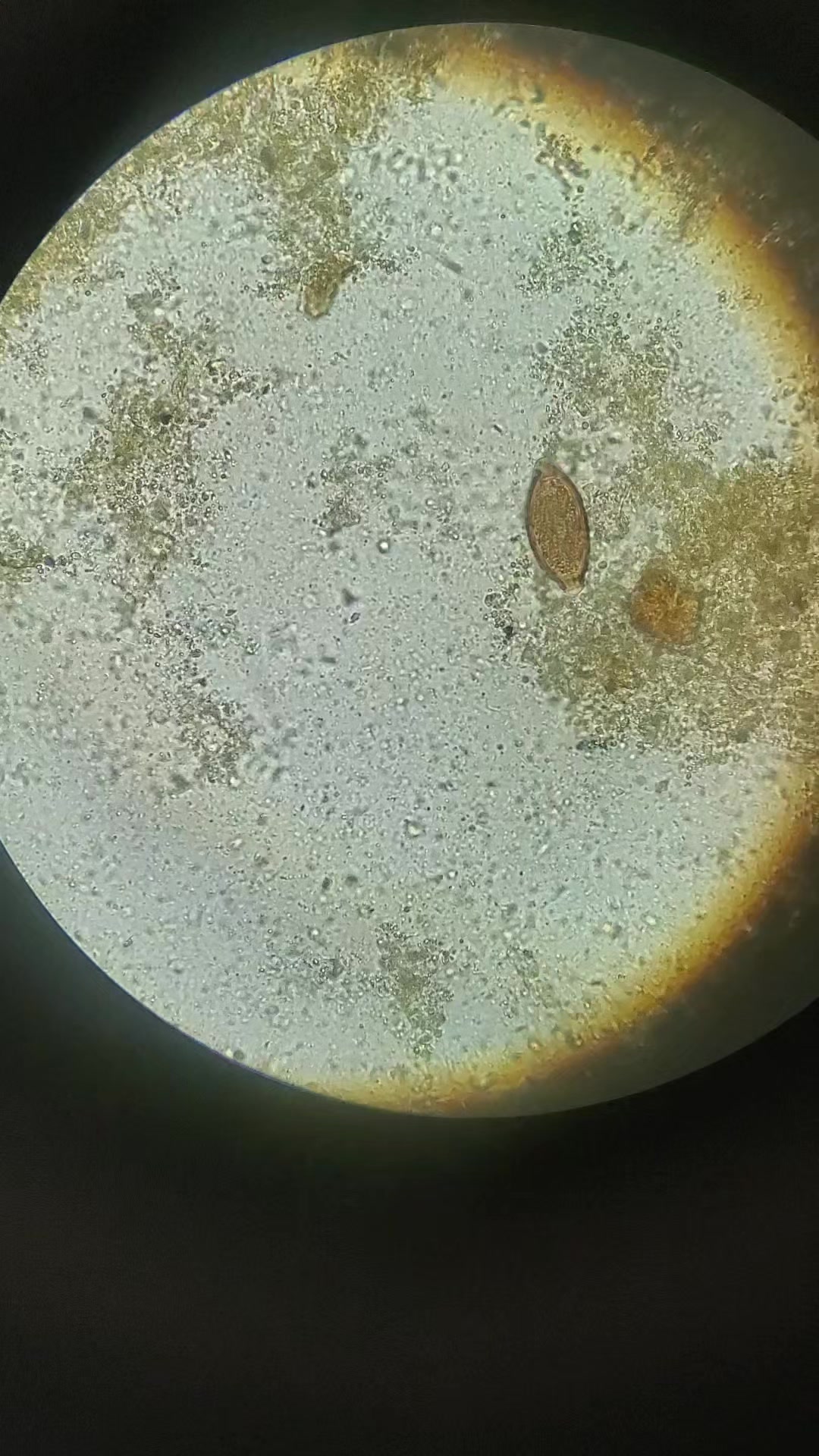 @Biologiste-Mompepe🔬💉😊