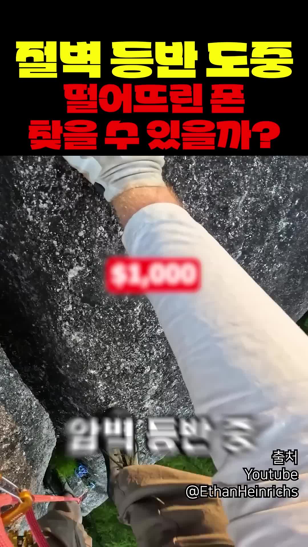 @짱아까미