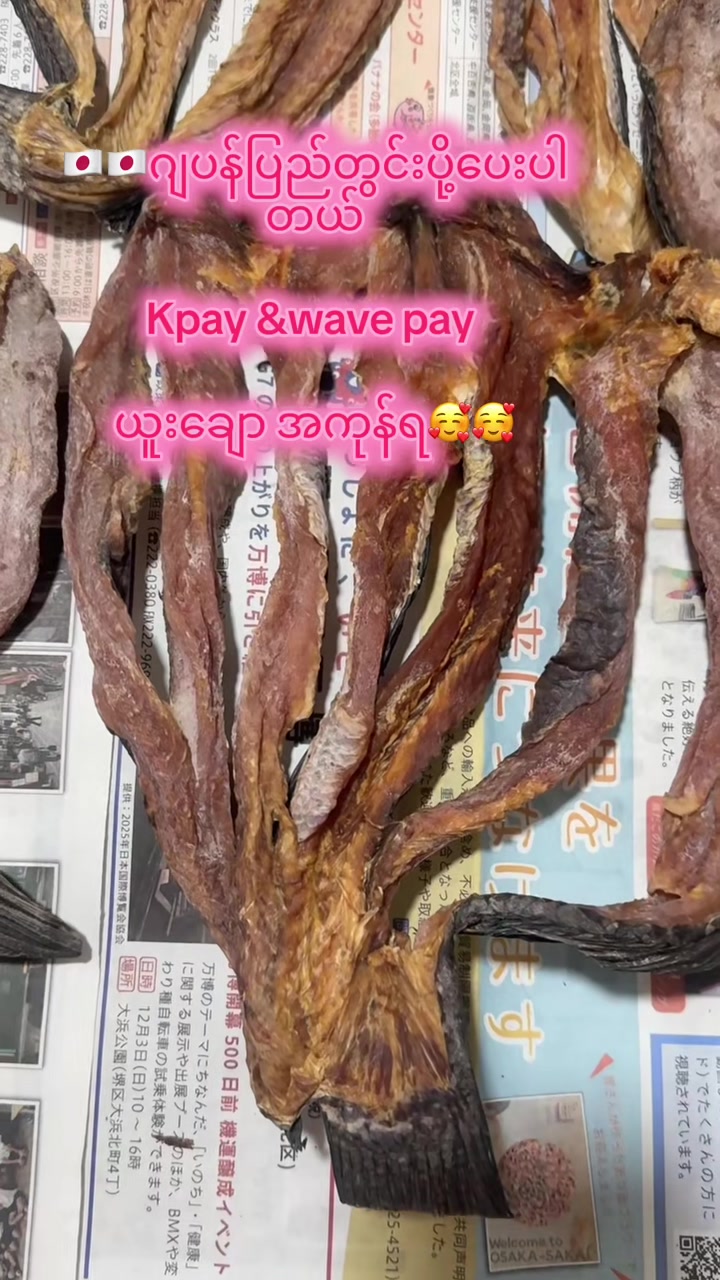 @Ma Ei 🇲🇲🇯🇵အညာသူ