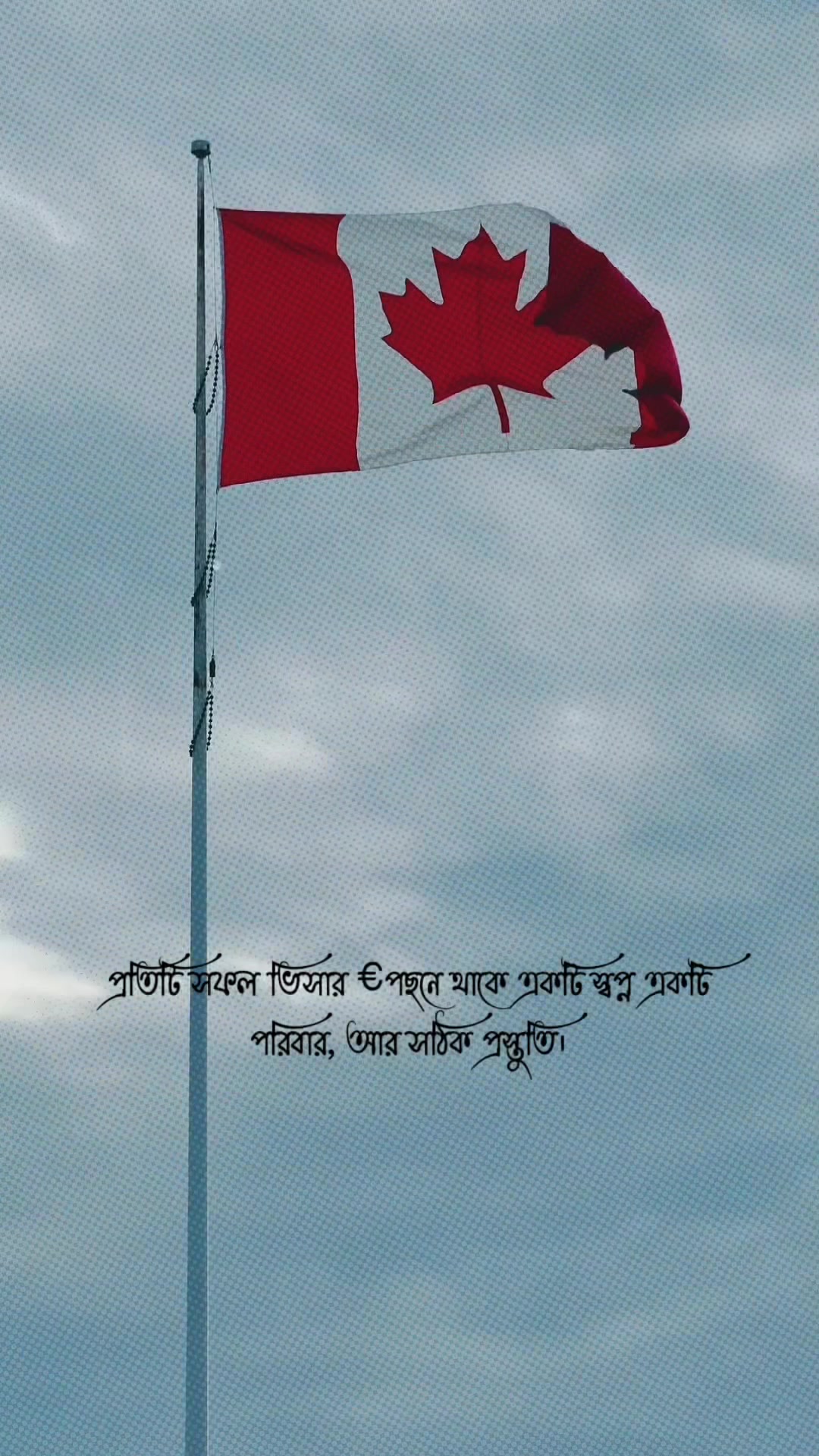 @Rayhan