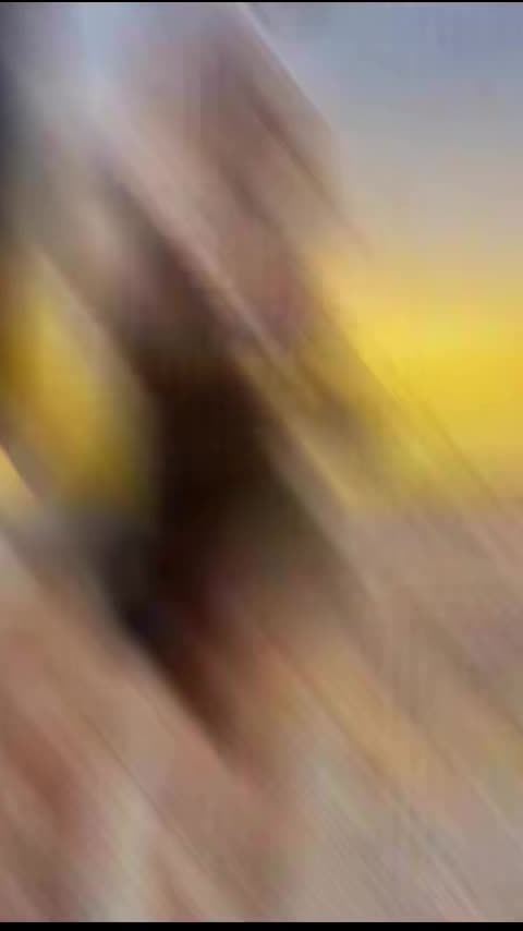 @RosaViola26