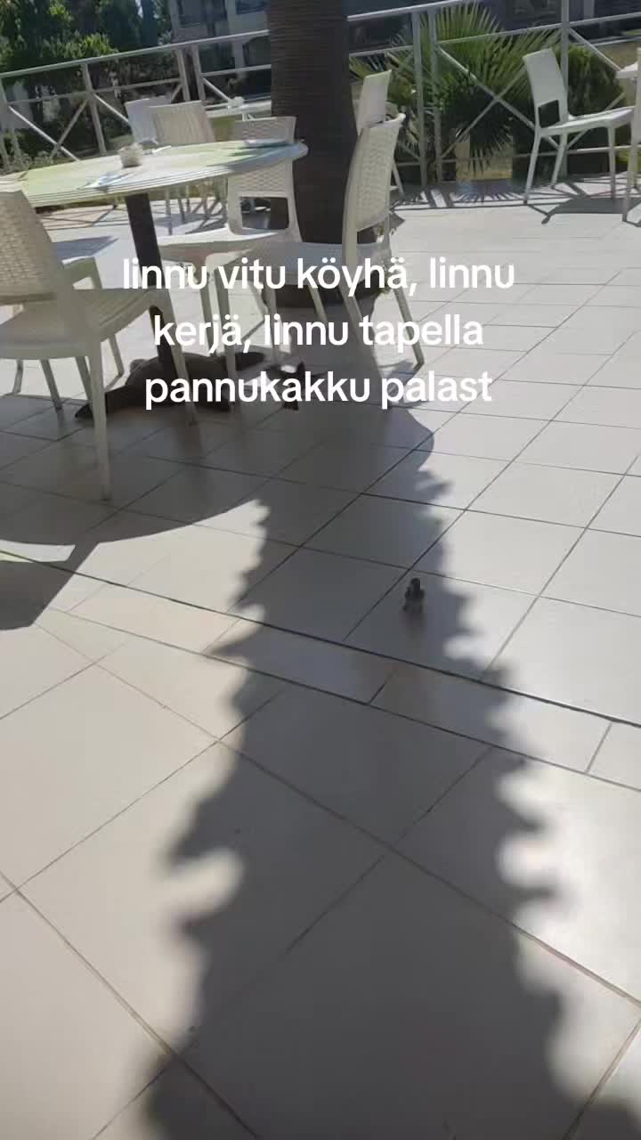 @Karina