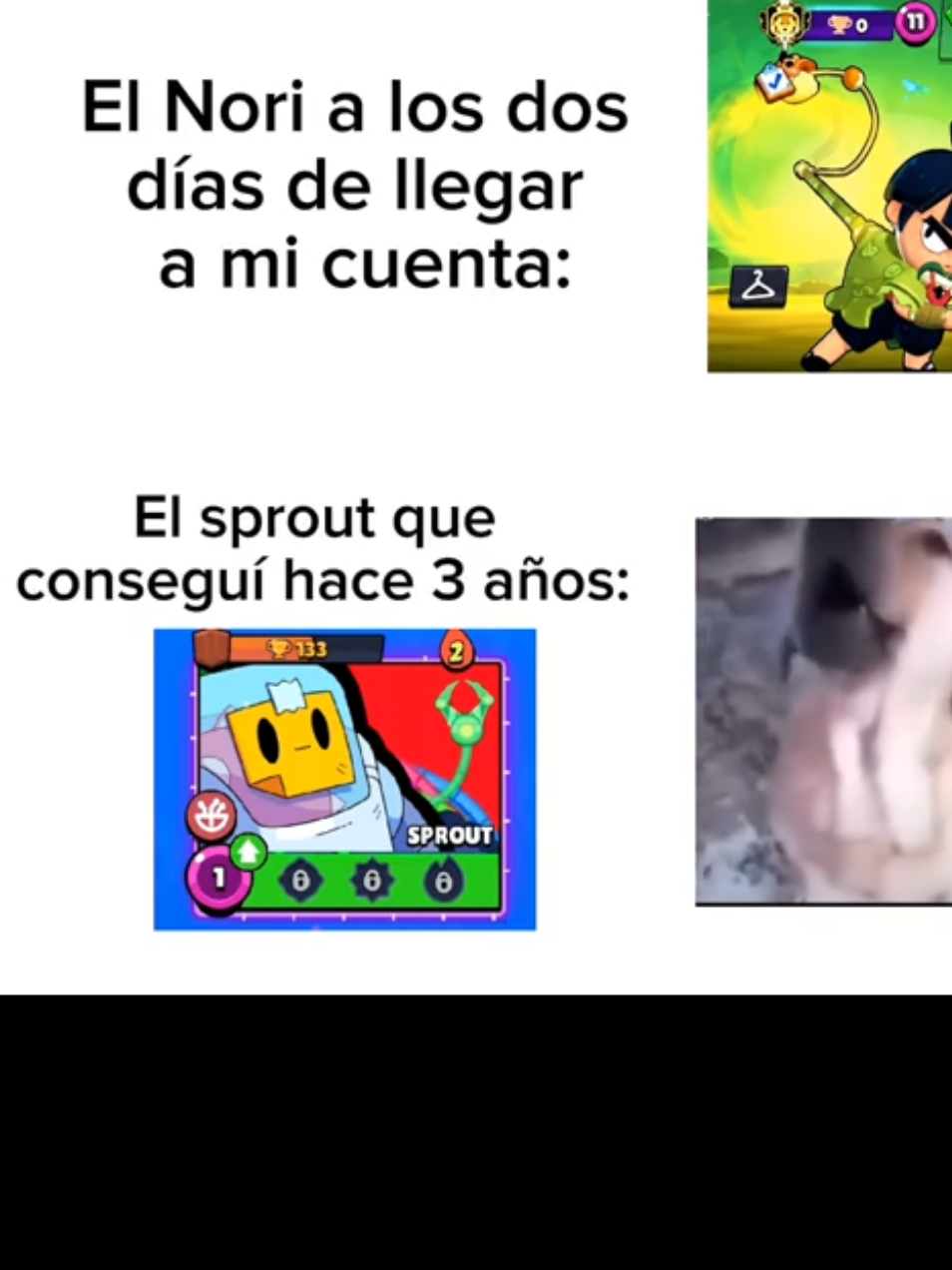 @BRAWL