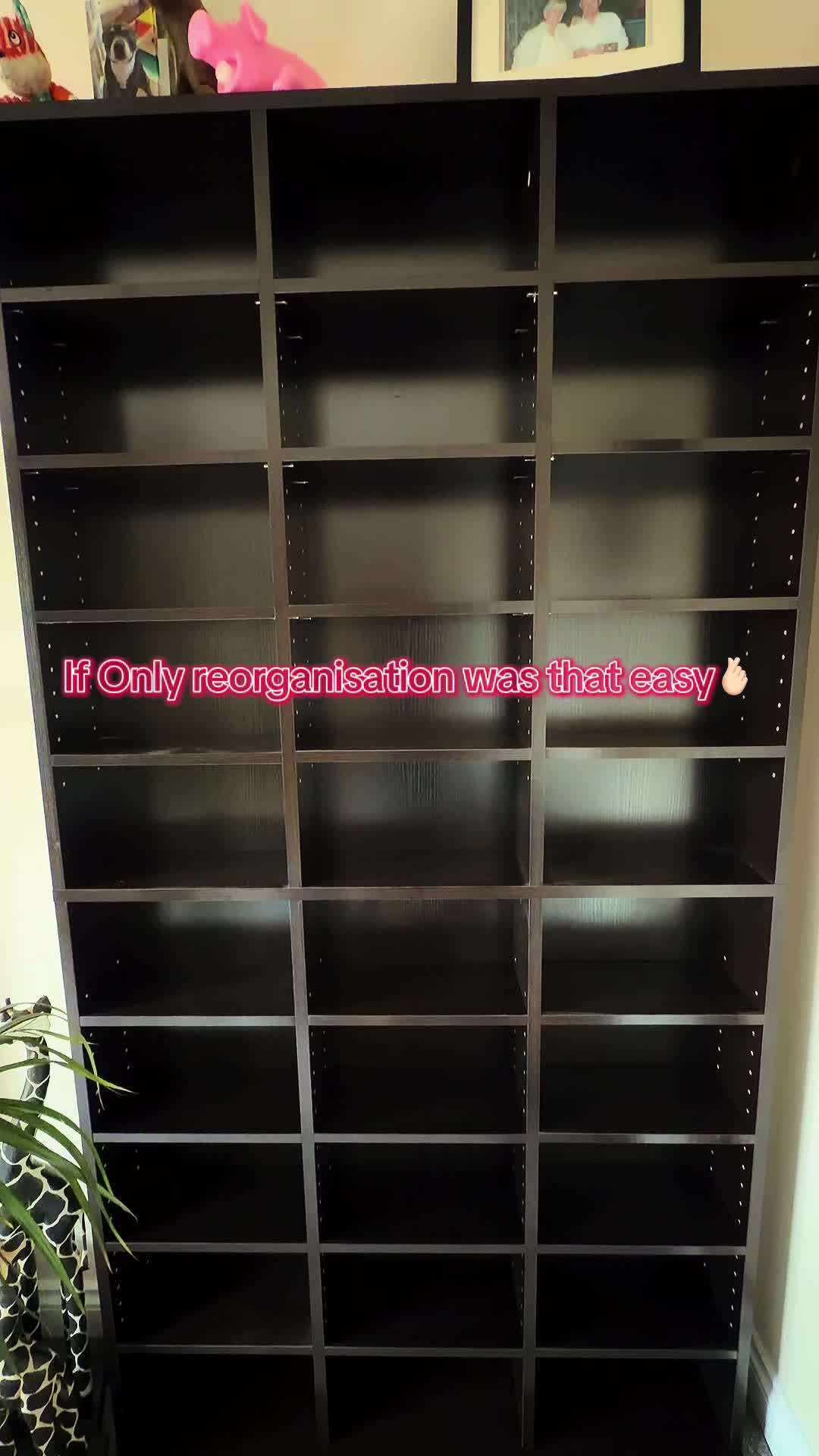@thefilmdancollects