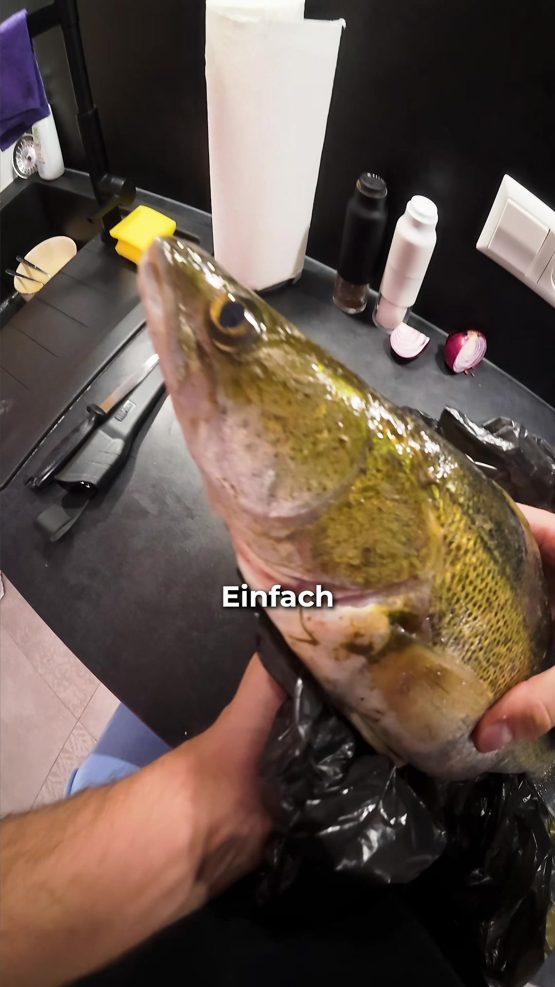 @Gian Fishing