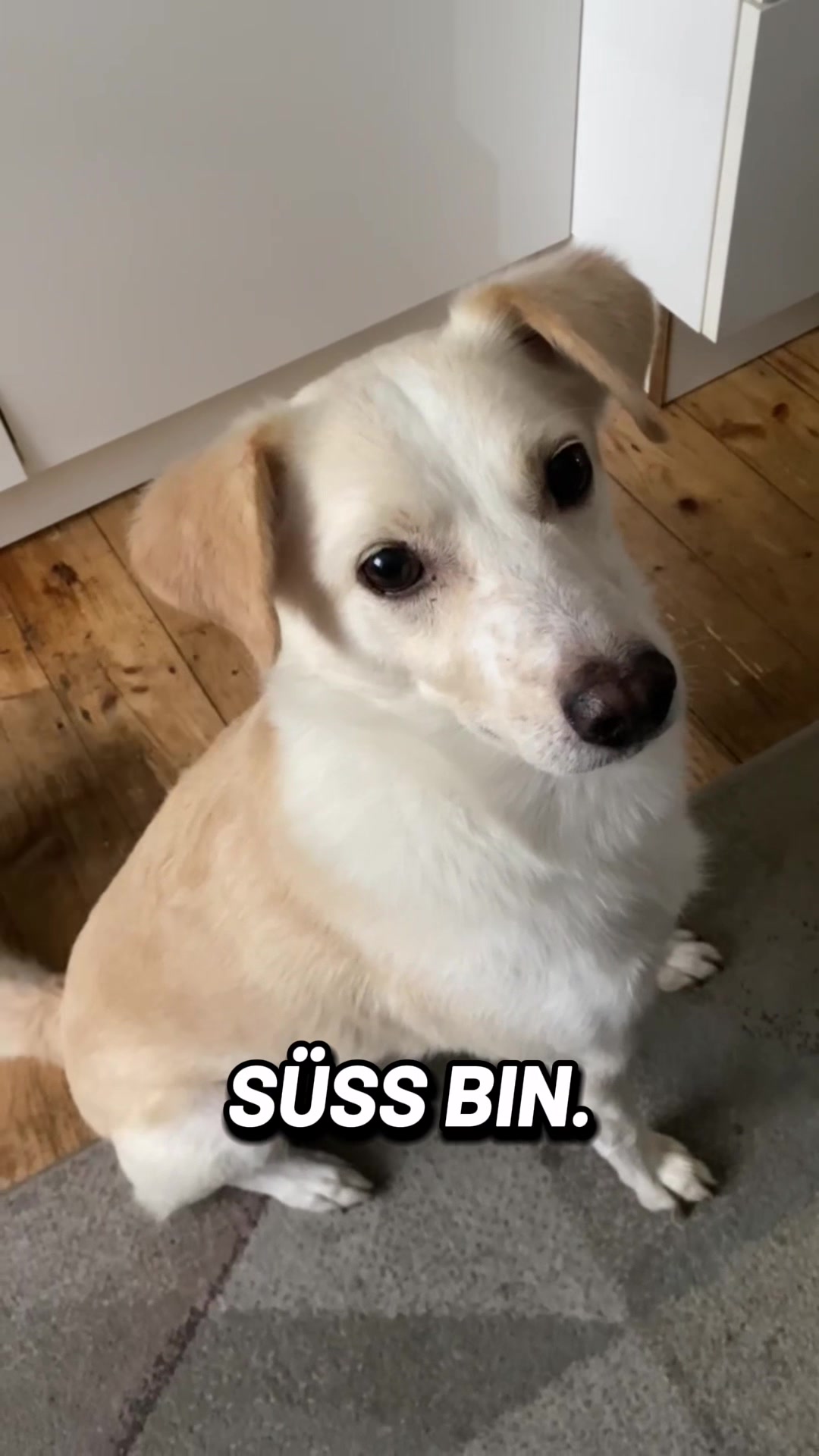 @Joschi