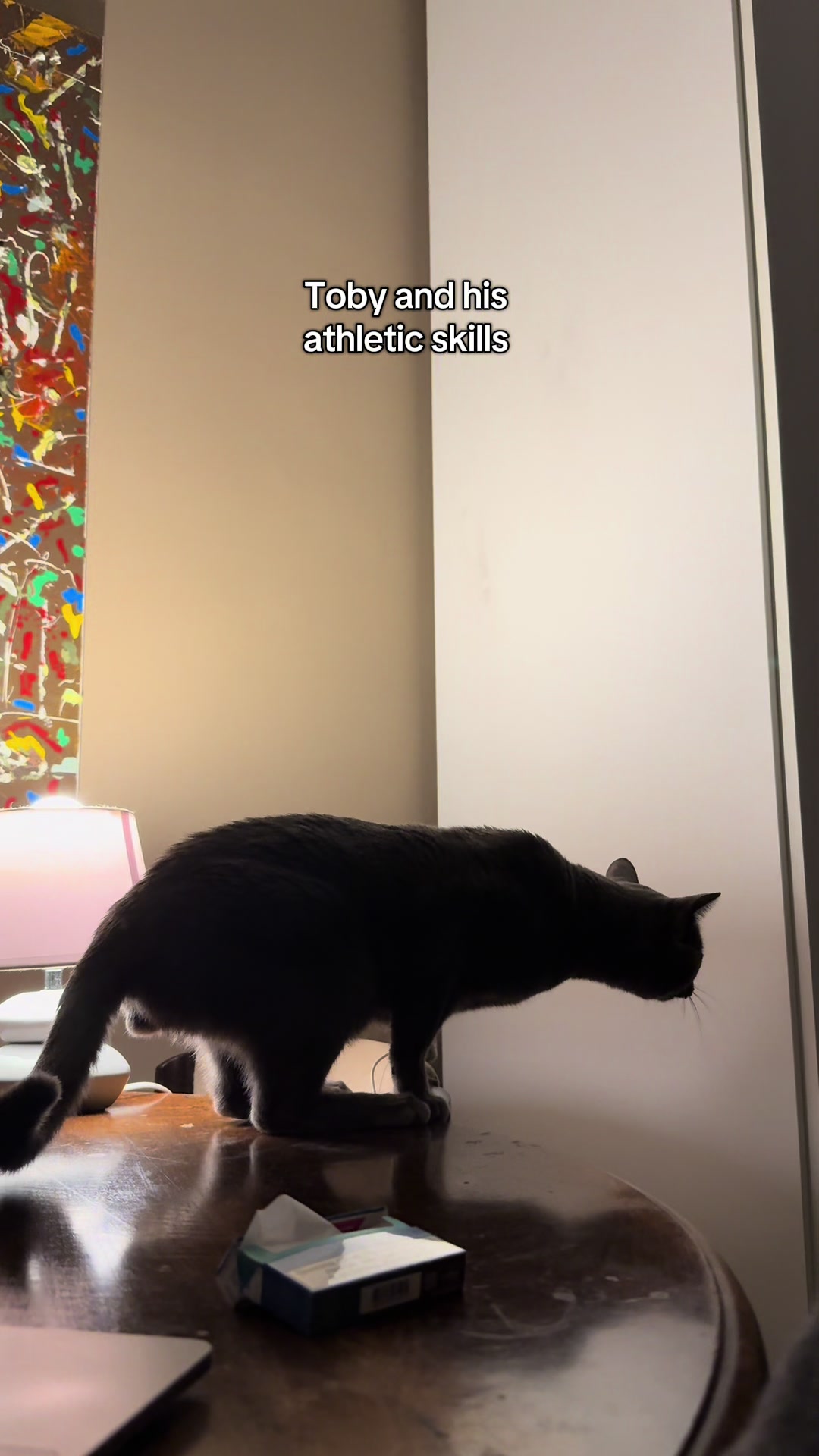 @Toby The Kitten