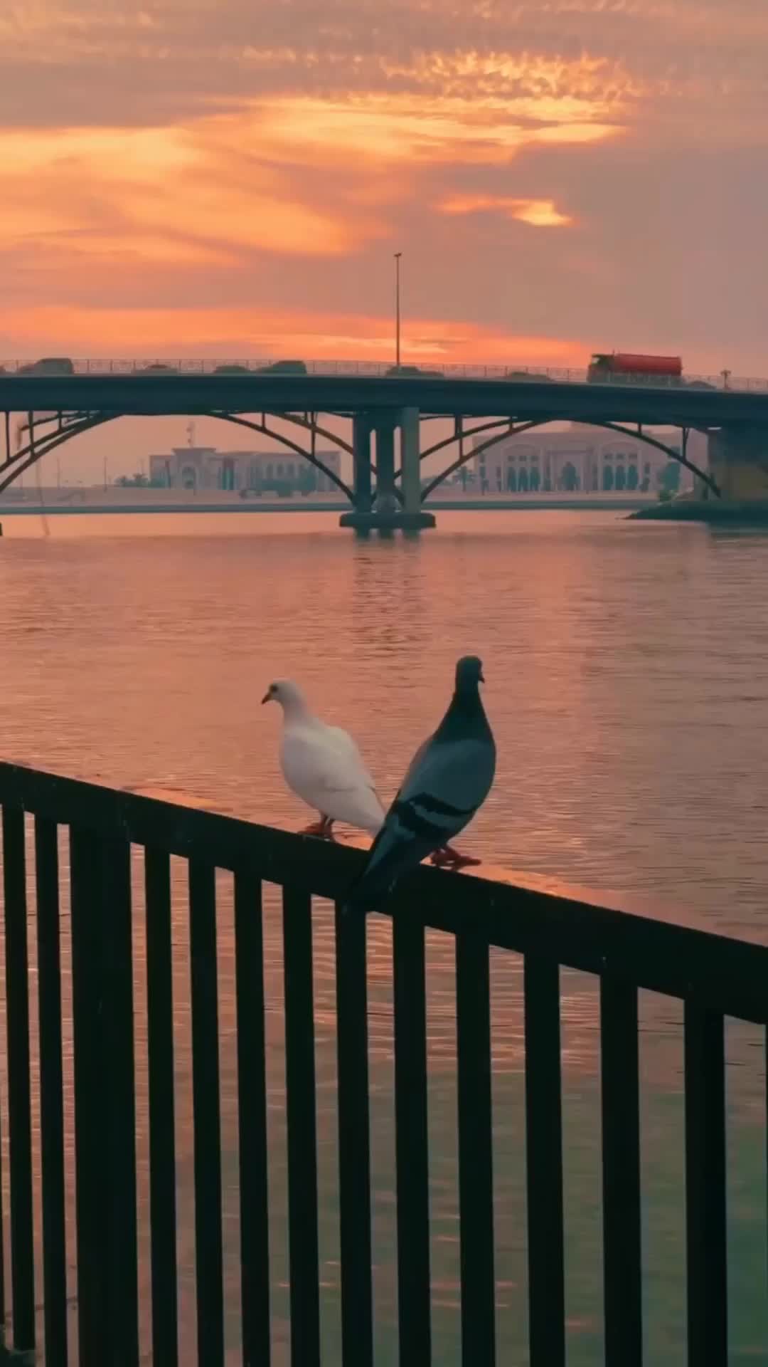 @i̴t̴’s̴_a̴i̴n̴a̴✨