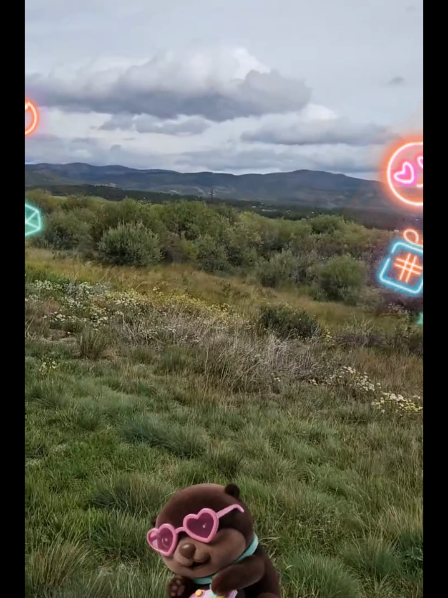 @♾️💎AbbygirlNatureQueen👑🍄🐿